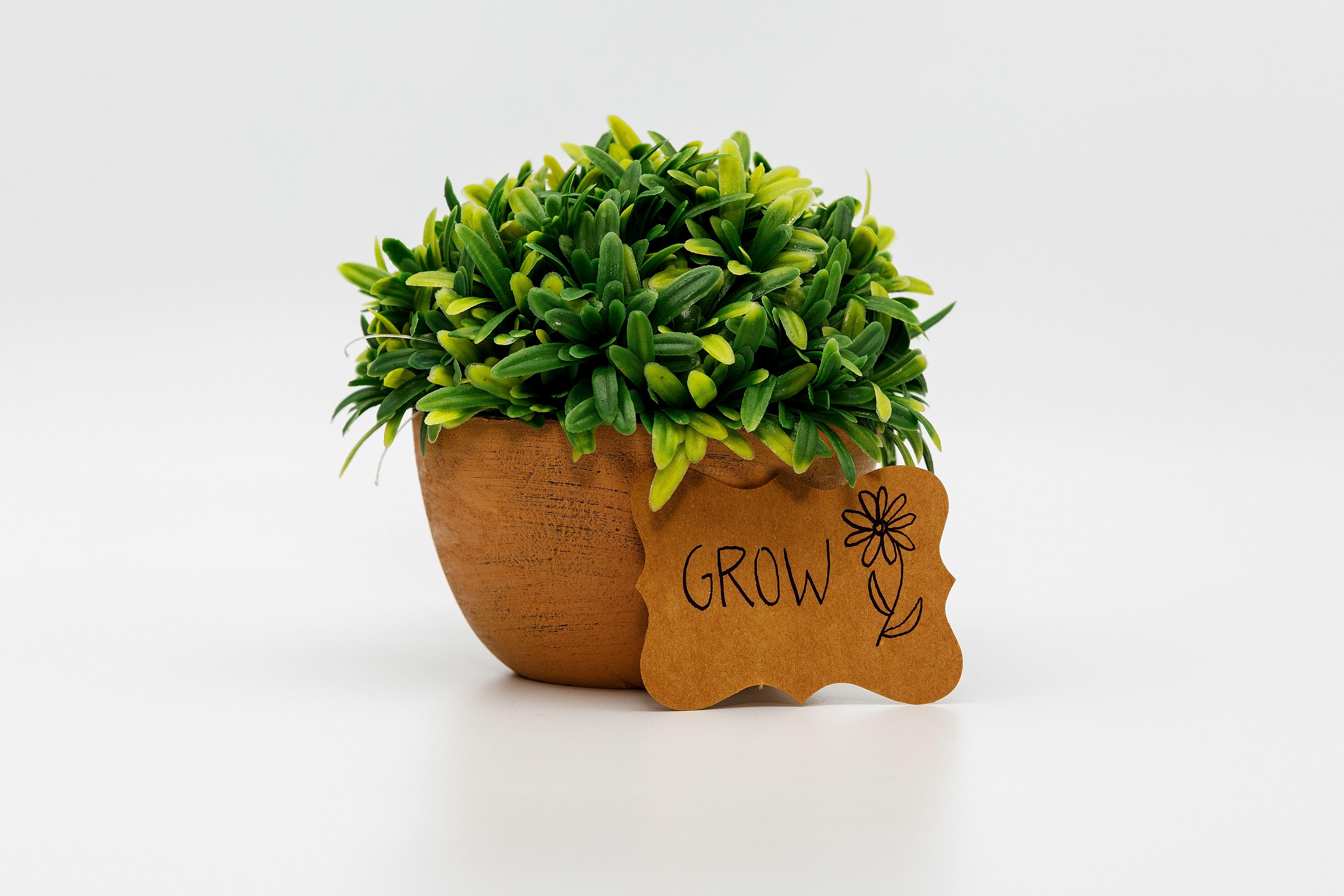 Between code and the boardroom: the build behind the spotlight.