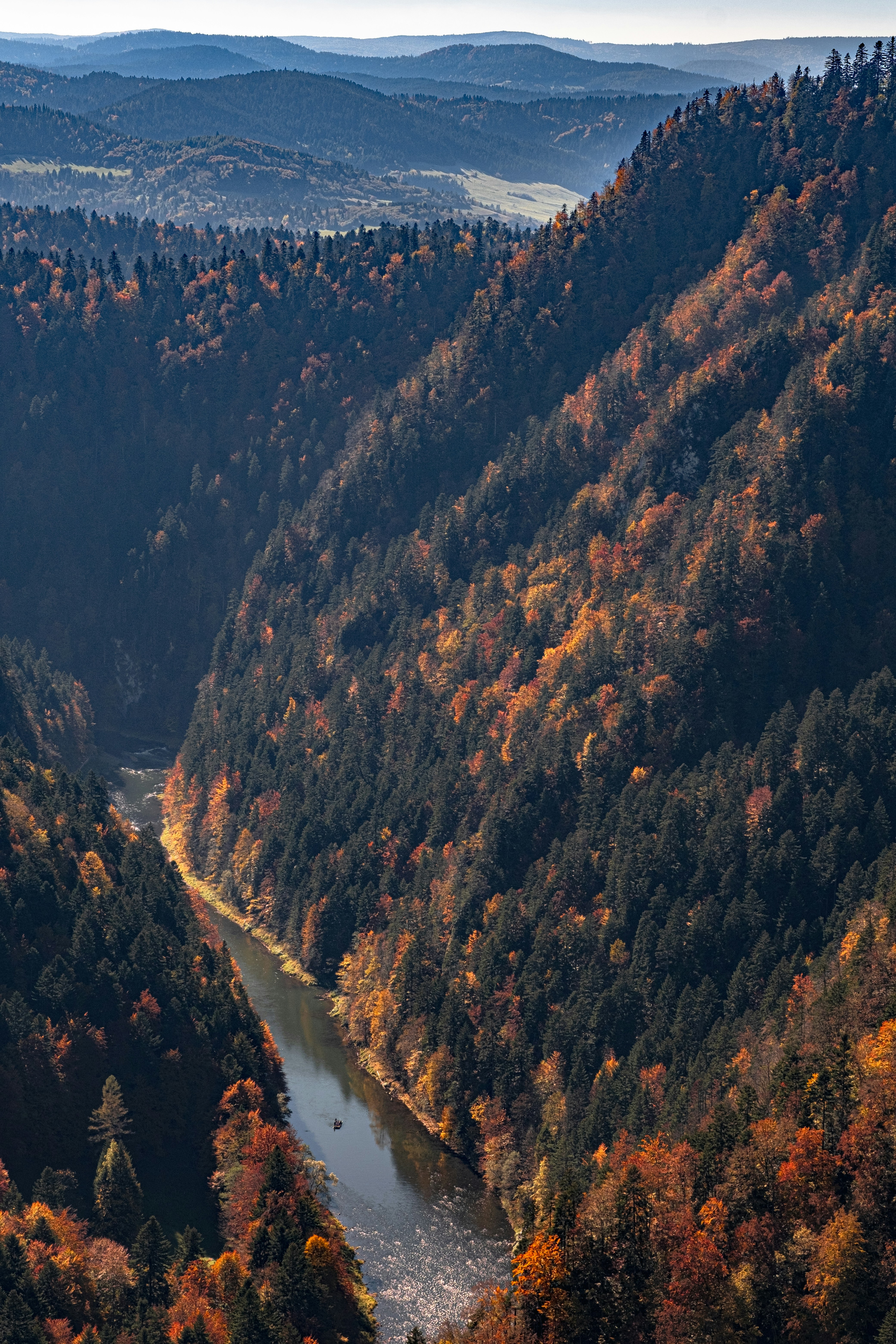 Río que fluye por un valle boscoso en otoño