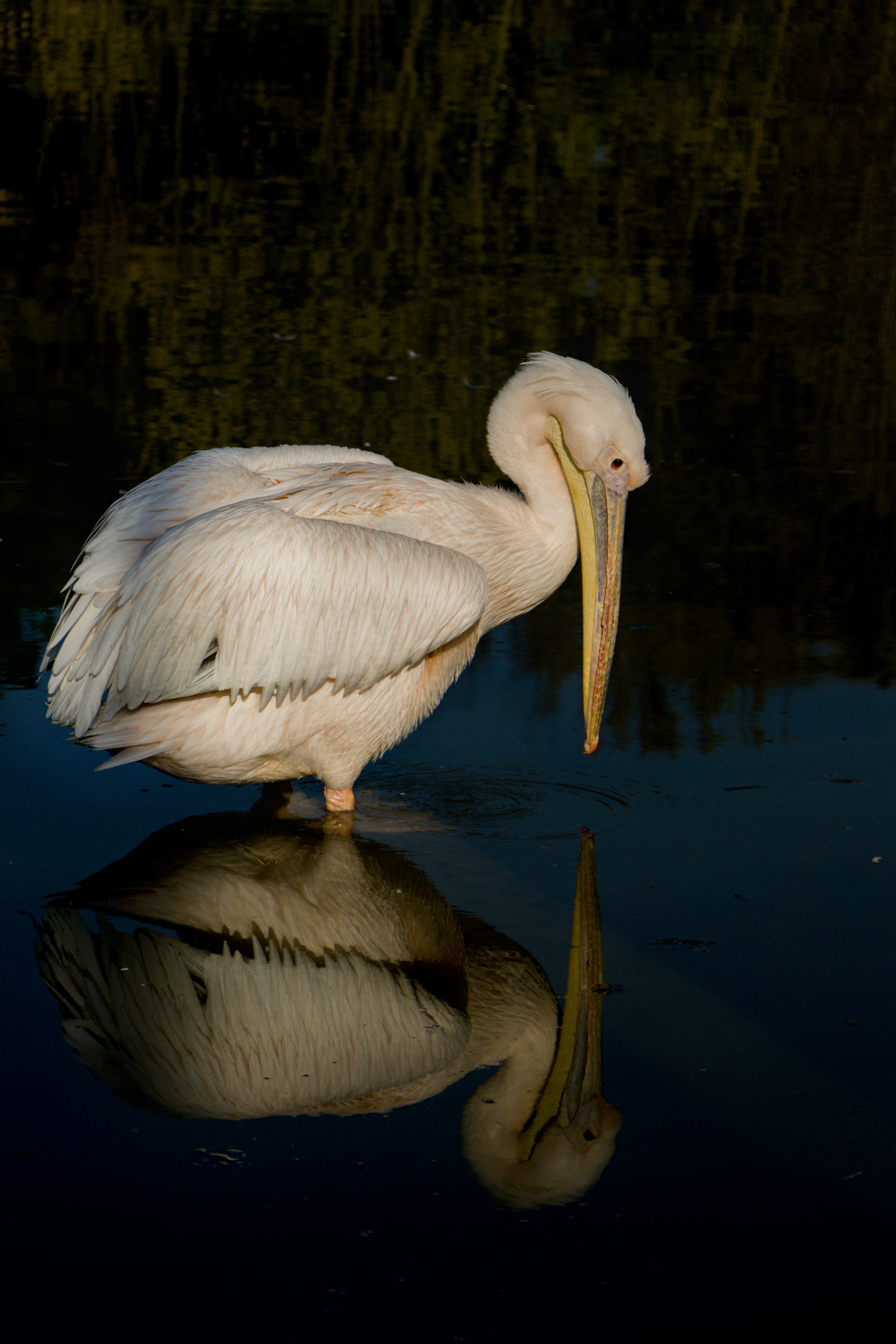 Photo by nikos132