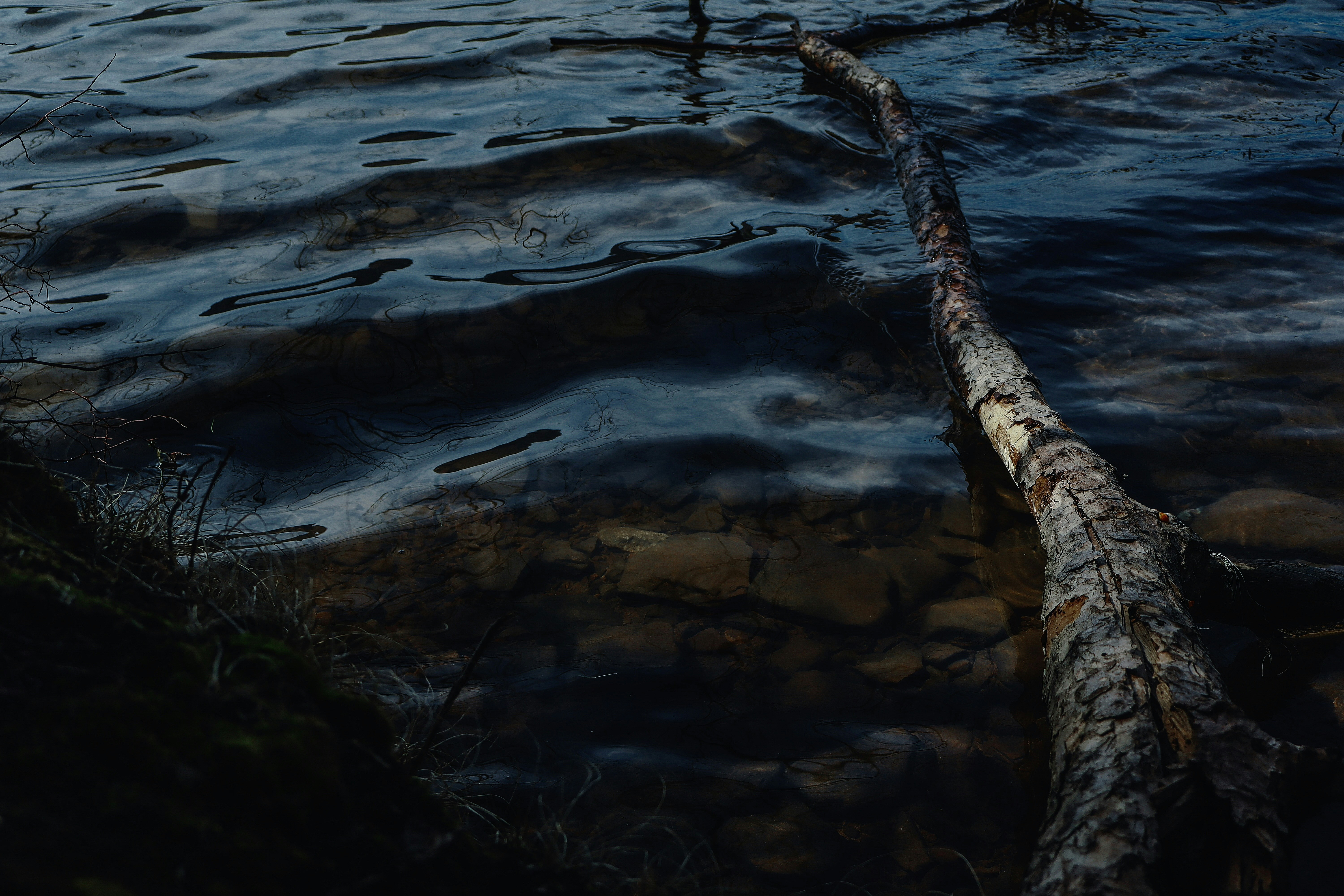 Photo by verucabjork