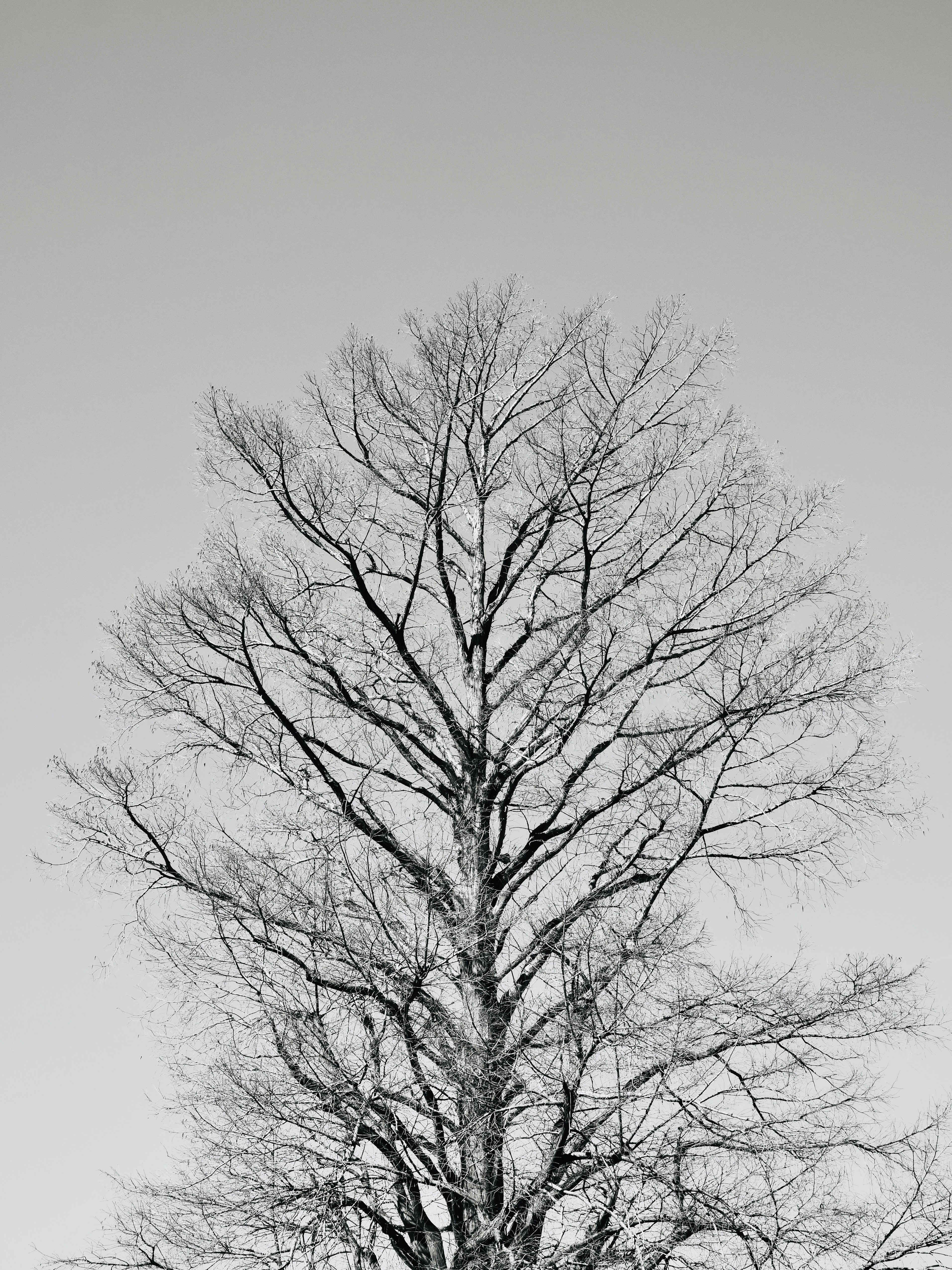 Photo by sschusterphotoart