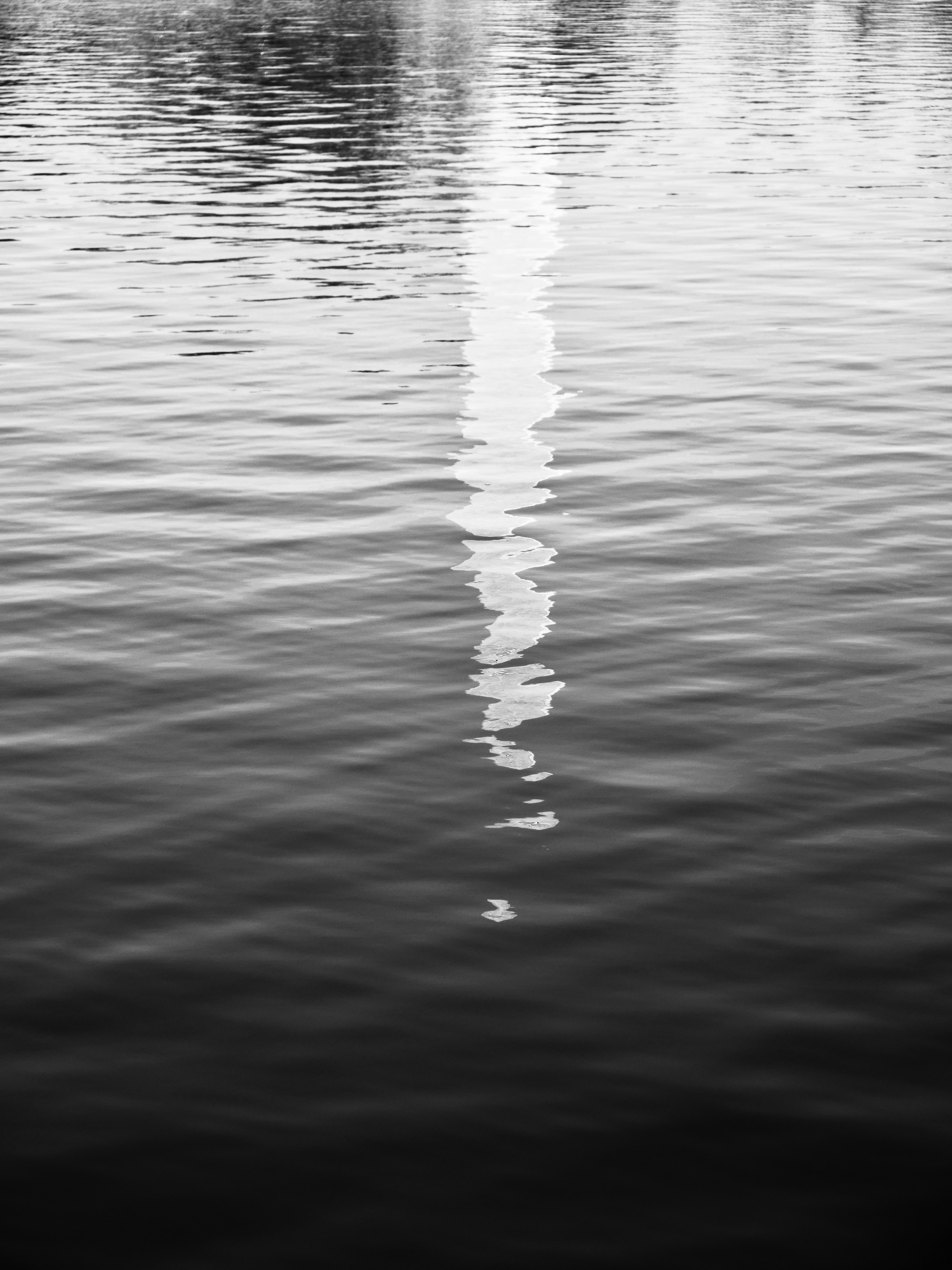 Photo by sschusterphotoart