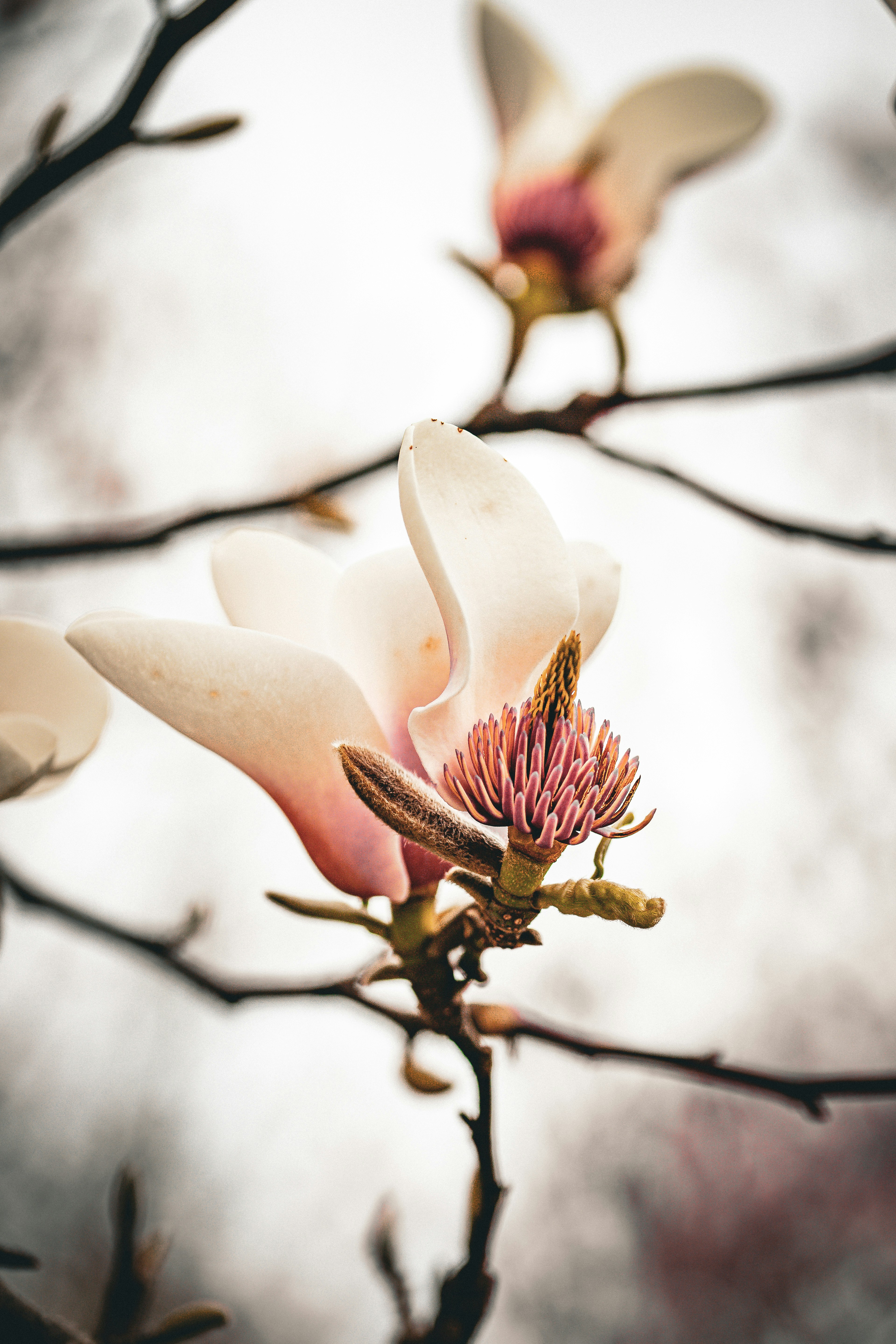 Photo by hdbernd