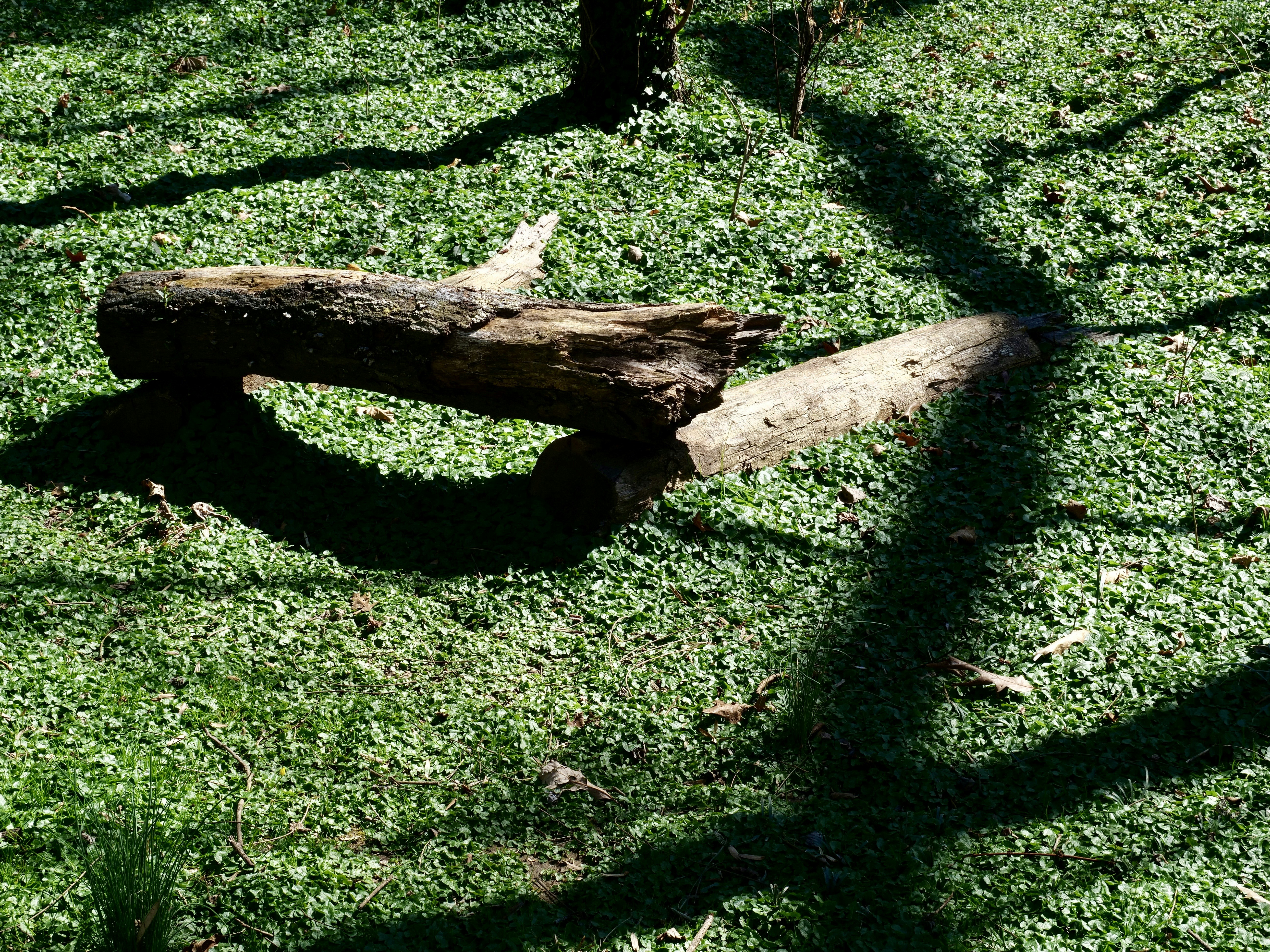 Holzspielzeug in natürlicher Umgebung