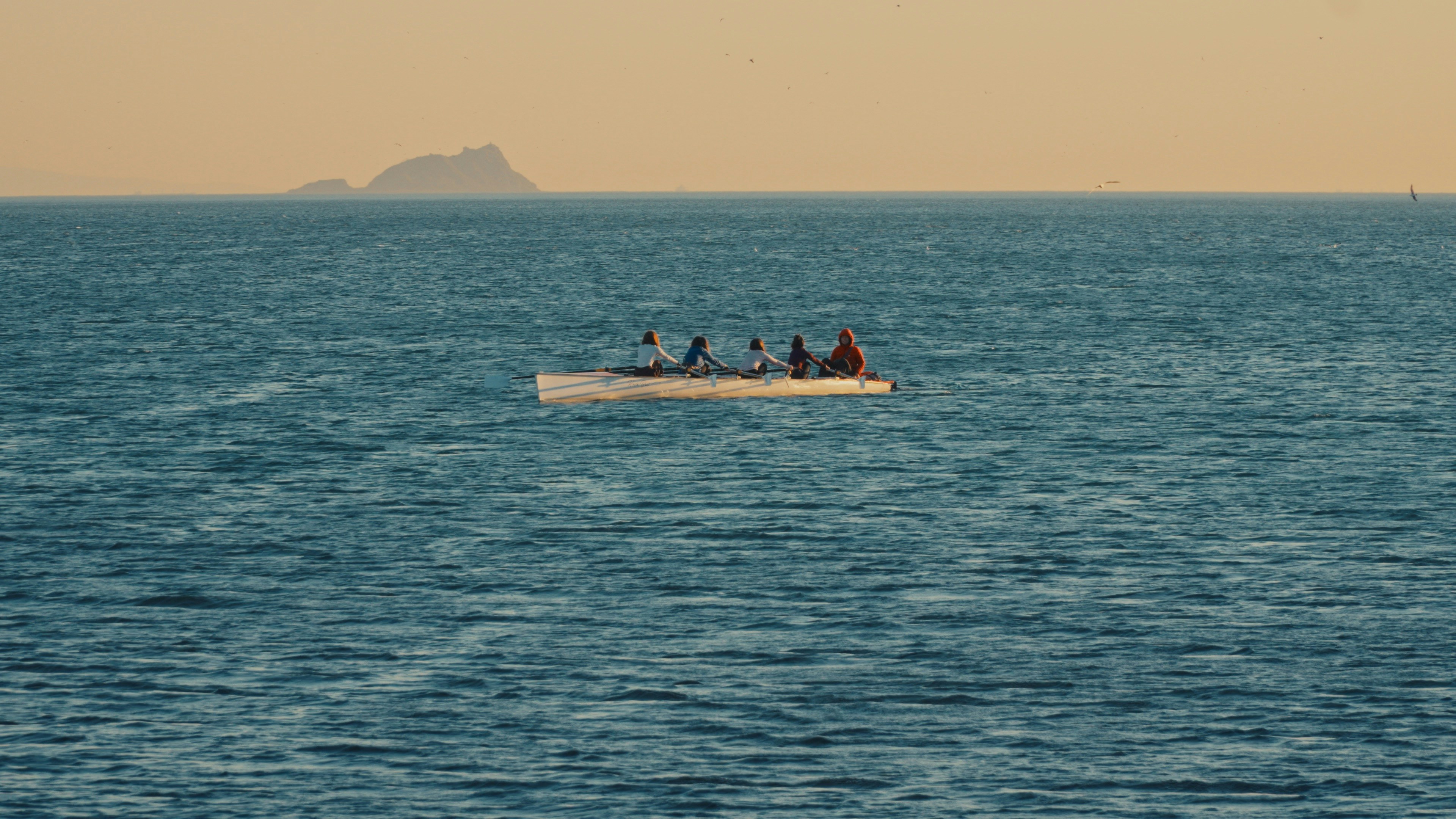 People rowing a small boat on the ocean