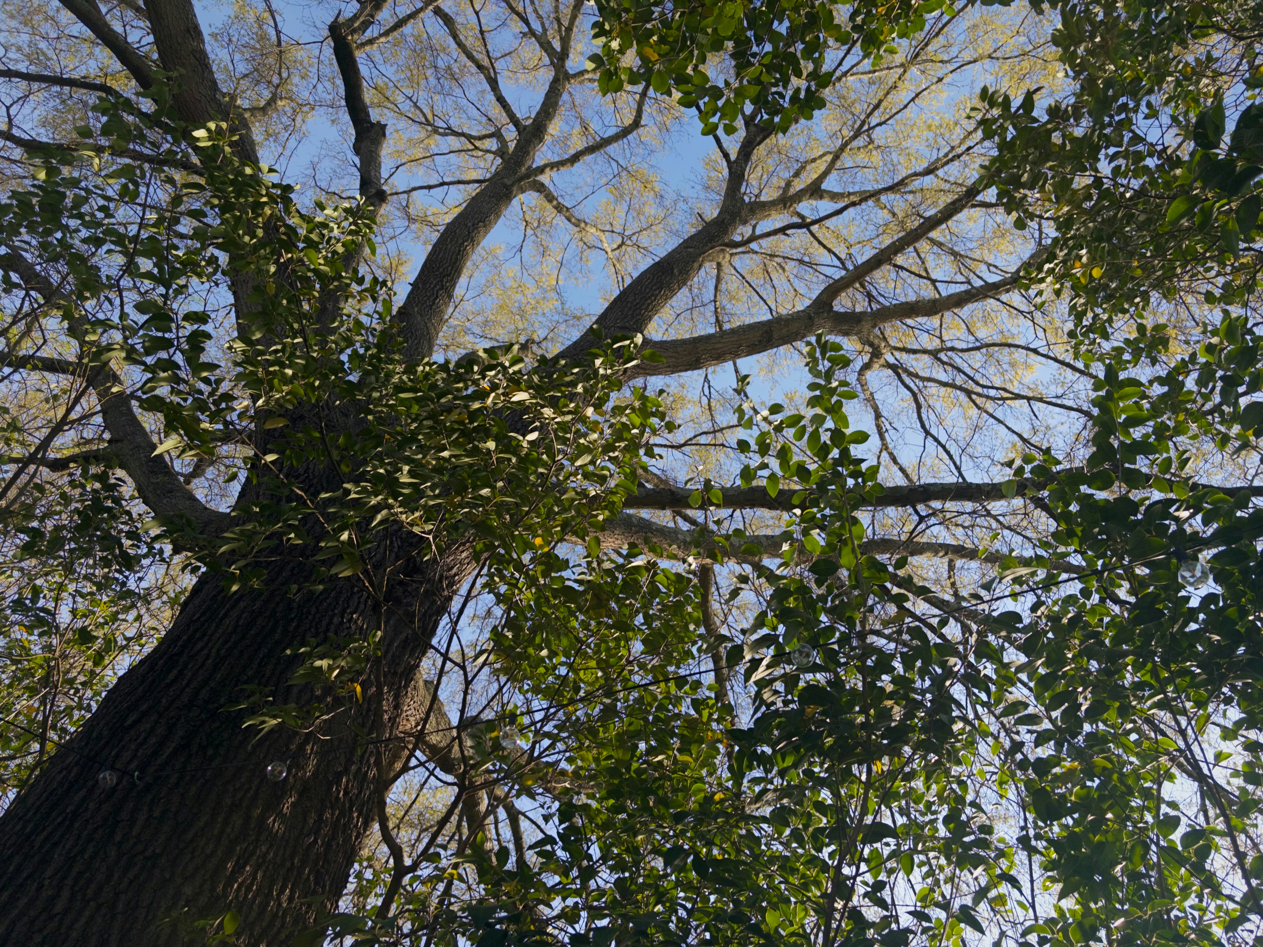 Photo by johnnyneptune