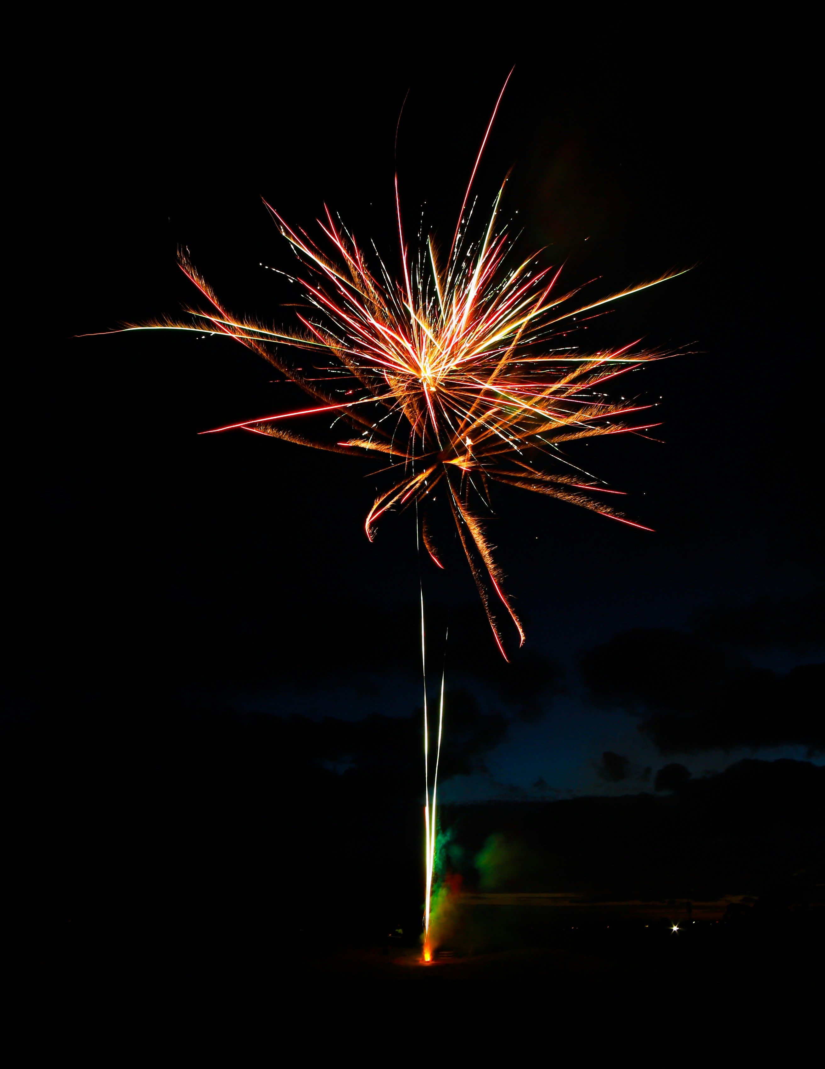 A single firework explodes in the night sky.