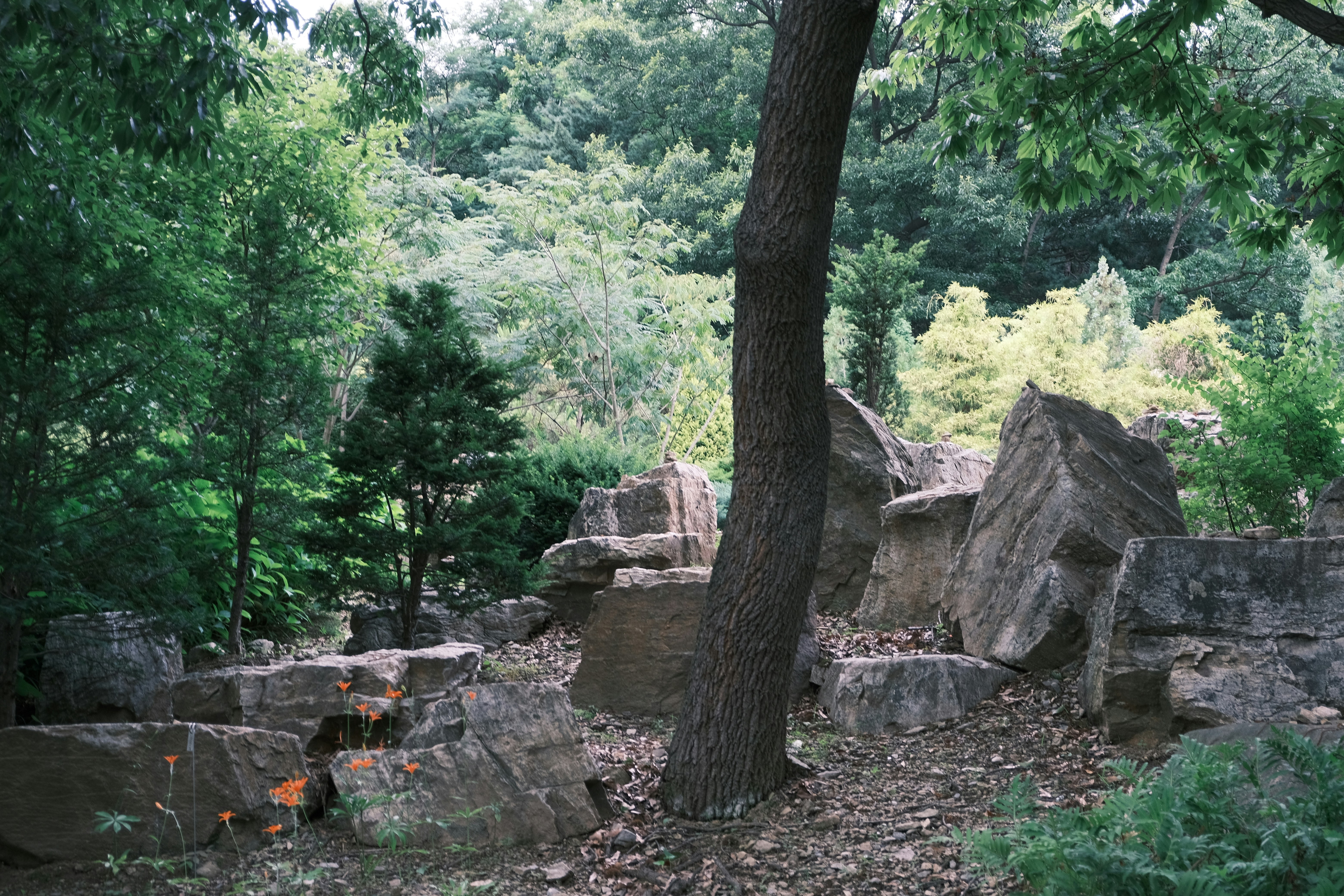 Friendly Park