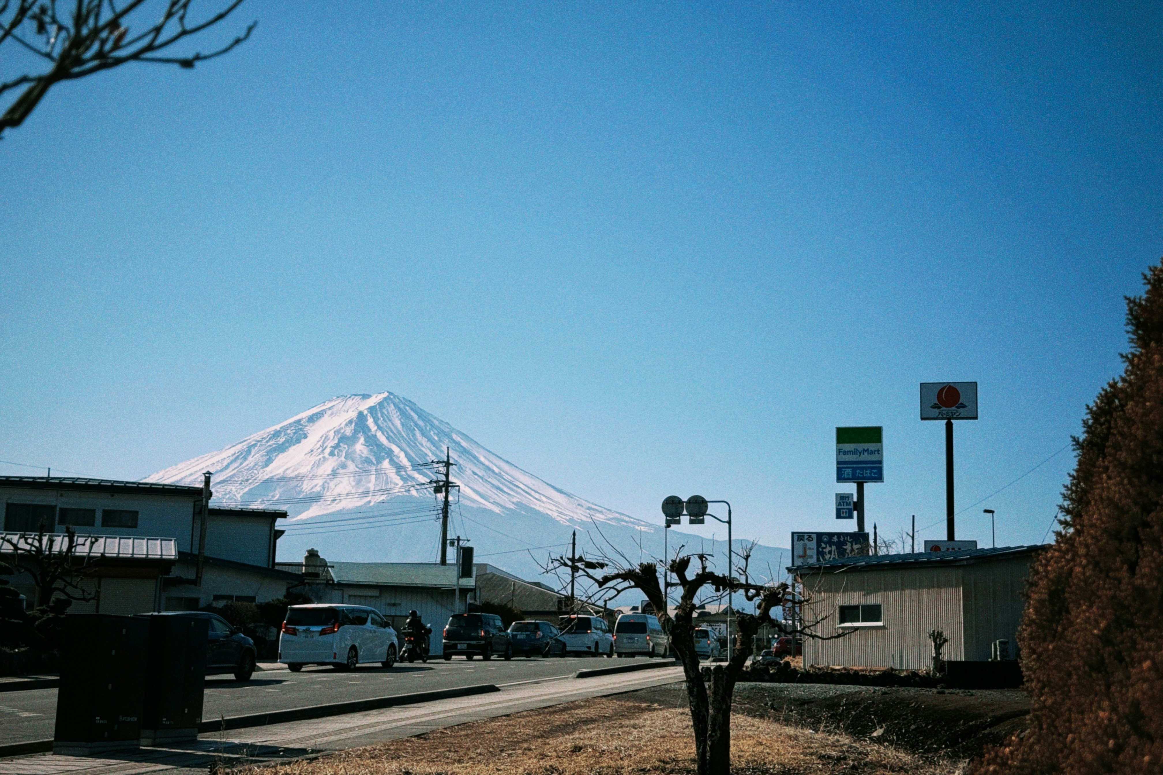 Photo by wsy111