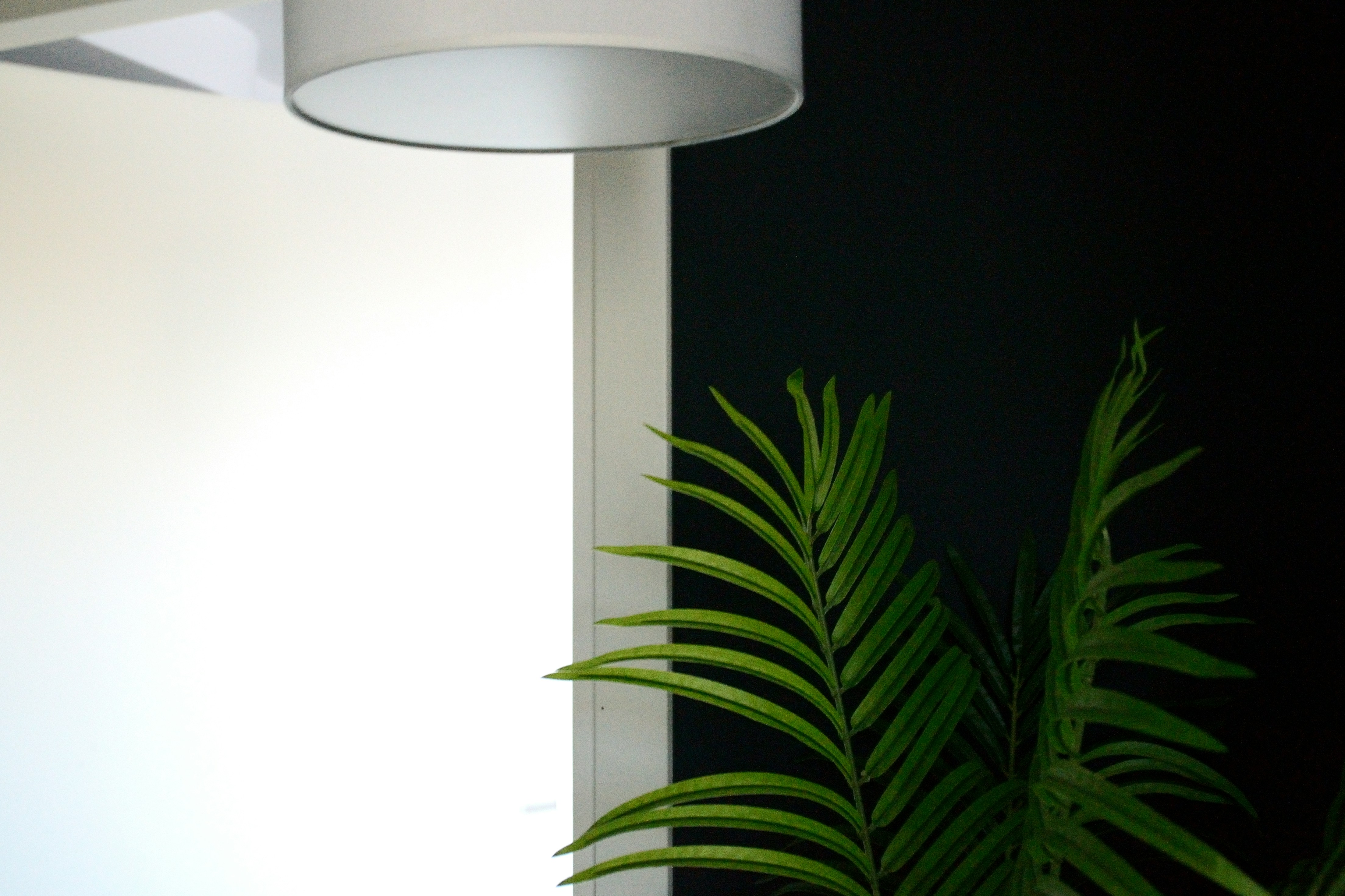 Photo by psilocybe53