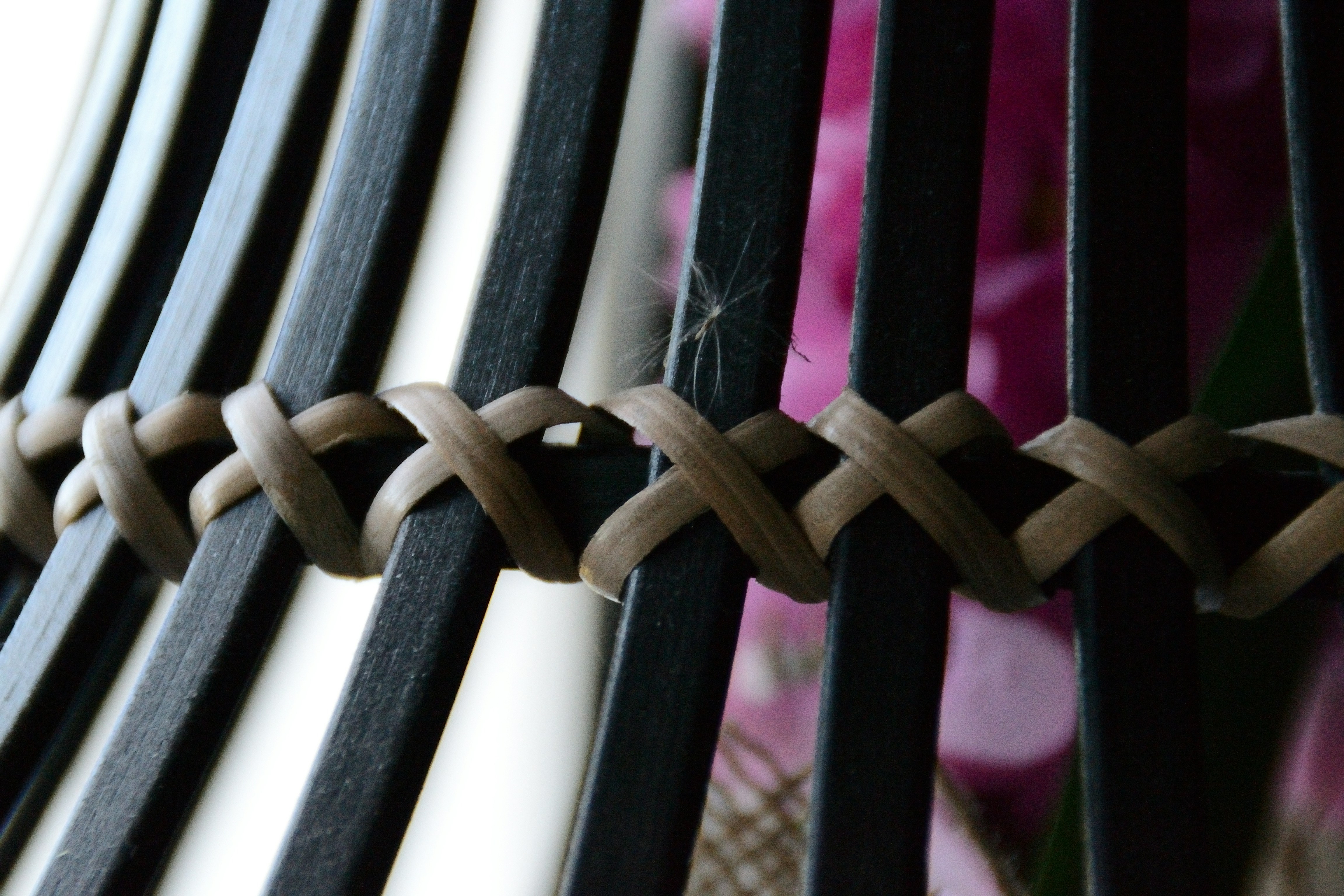 Photo by psilocybe53