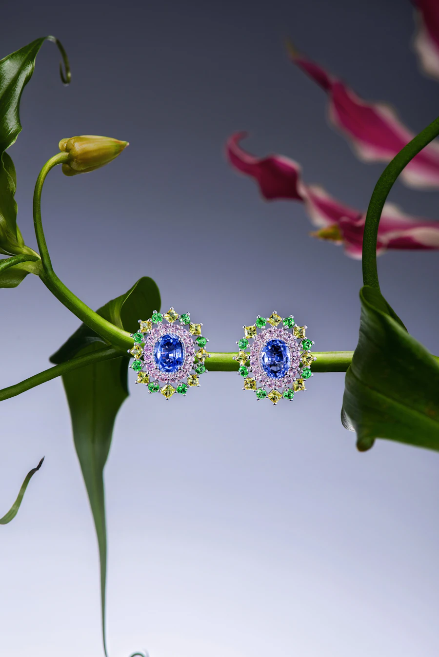 Ceylon Sapphire Studs