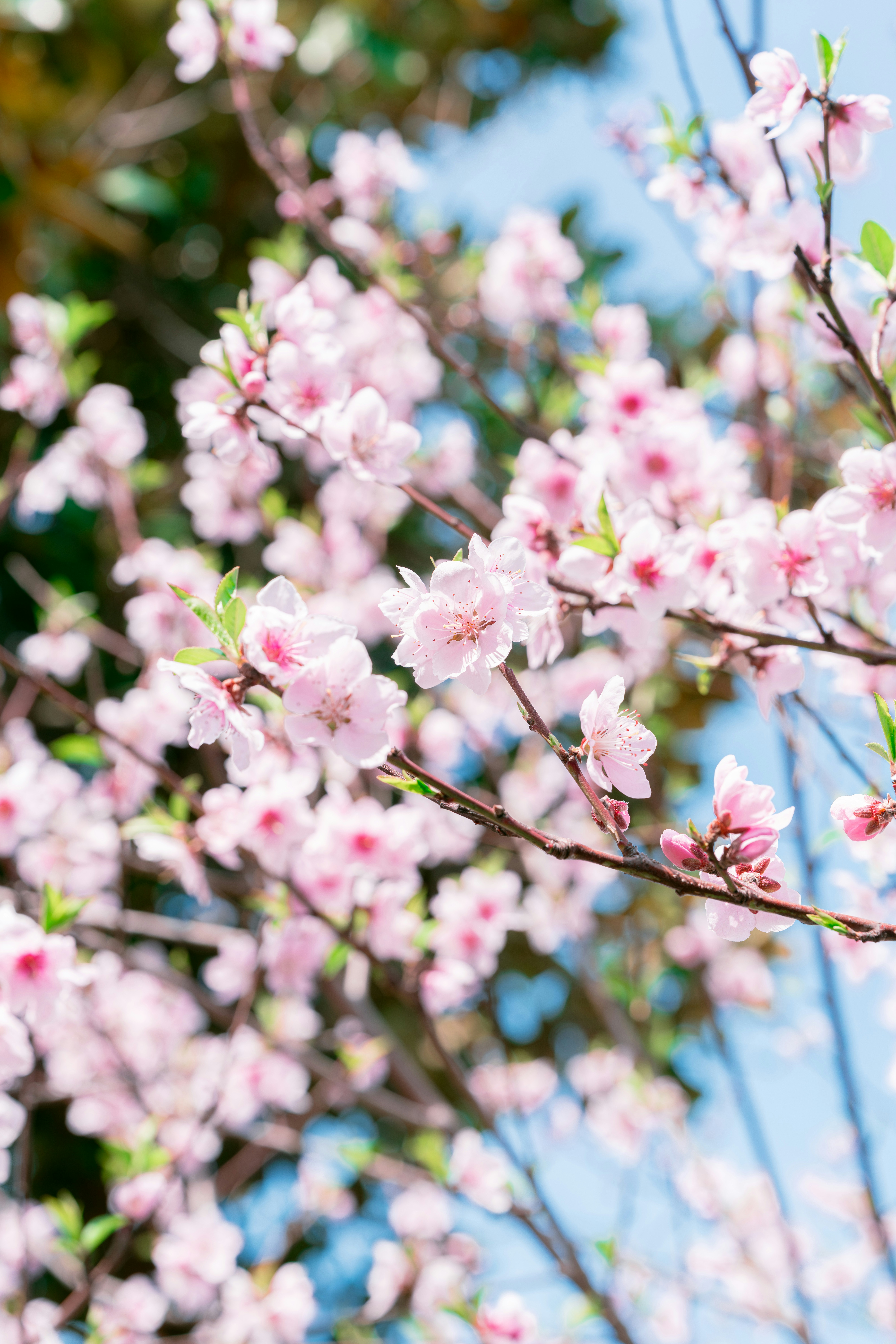 Photo by lightman0215