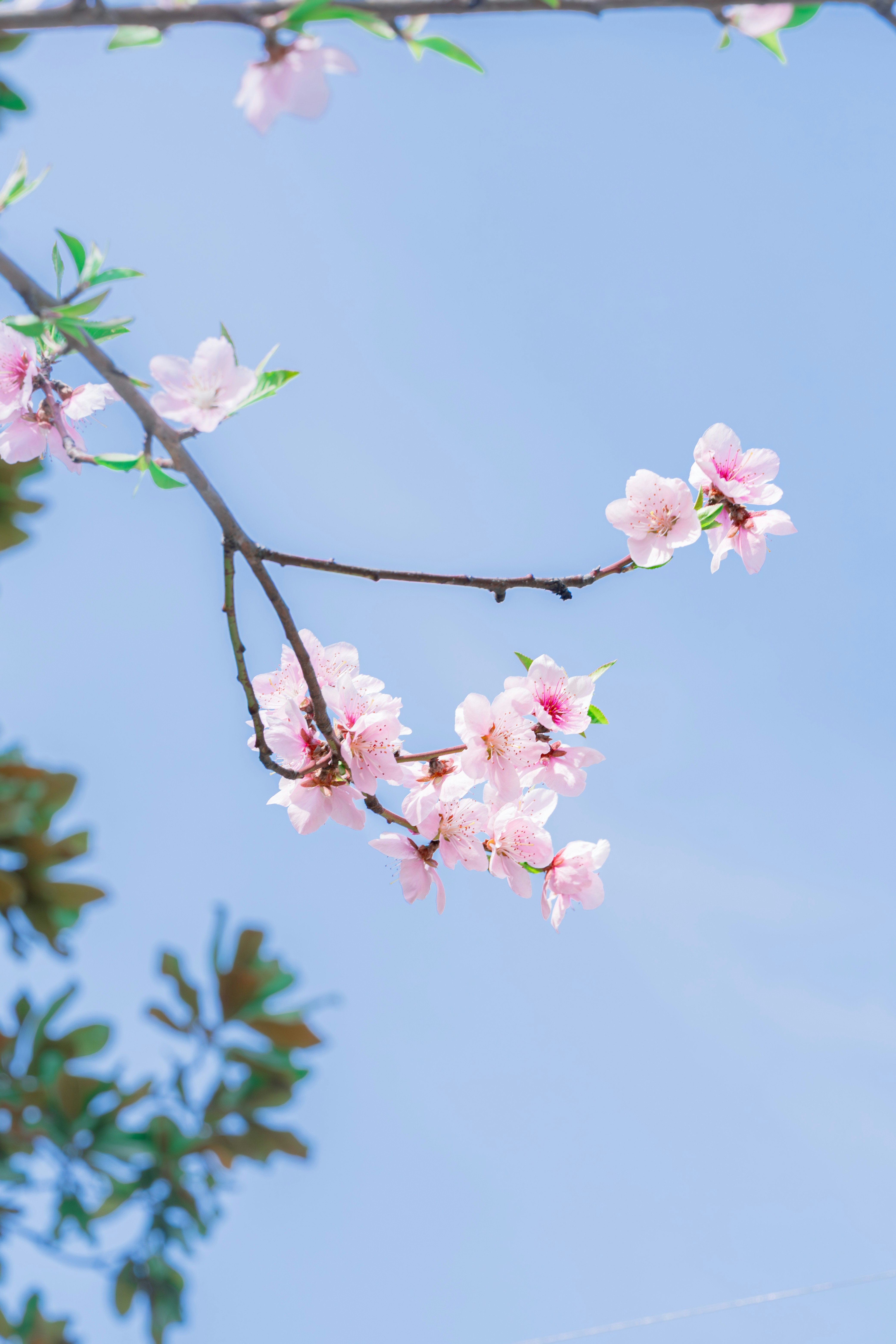 Photo by lightman0215