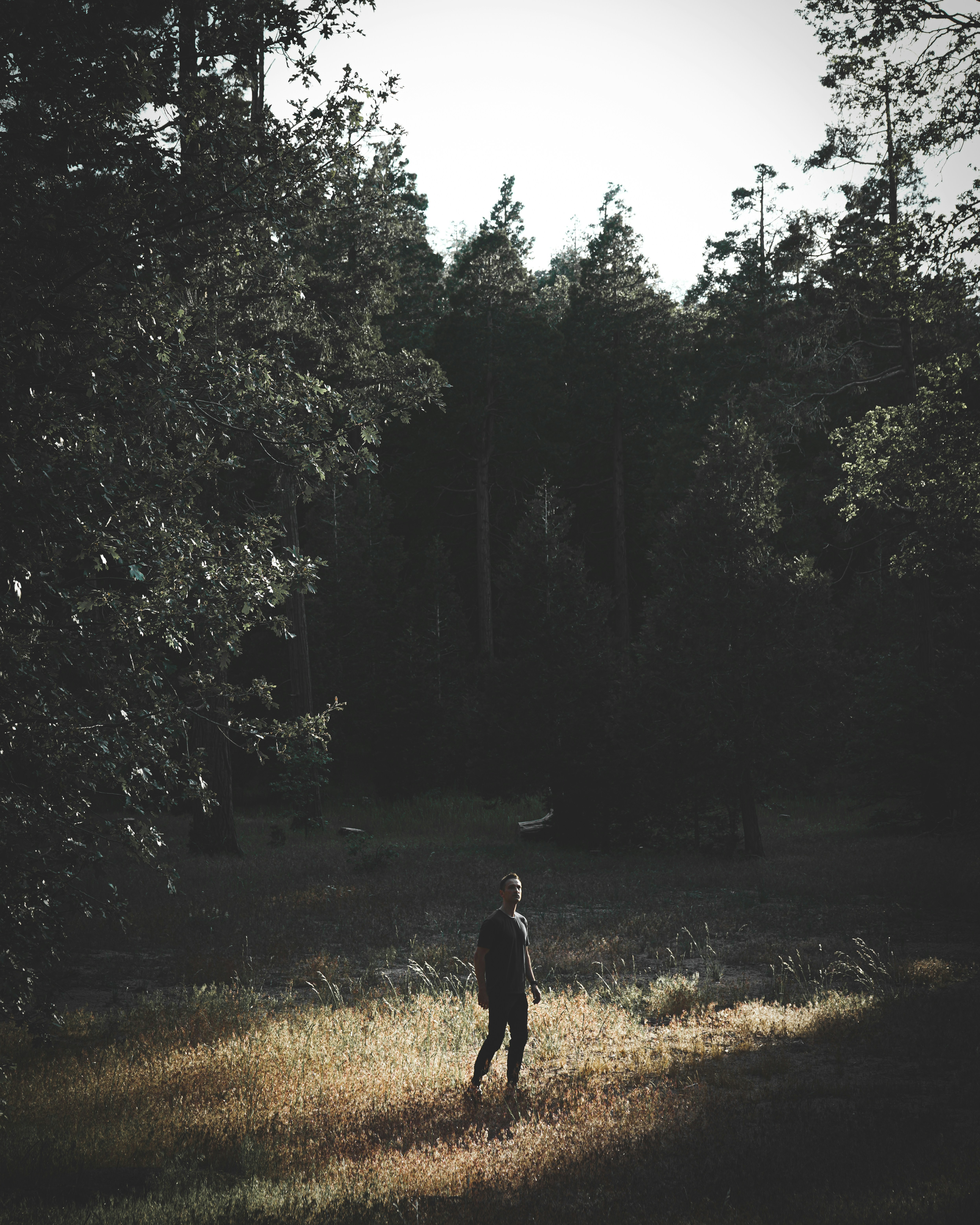 Photo by thedimus