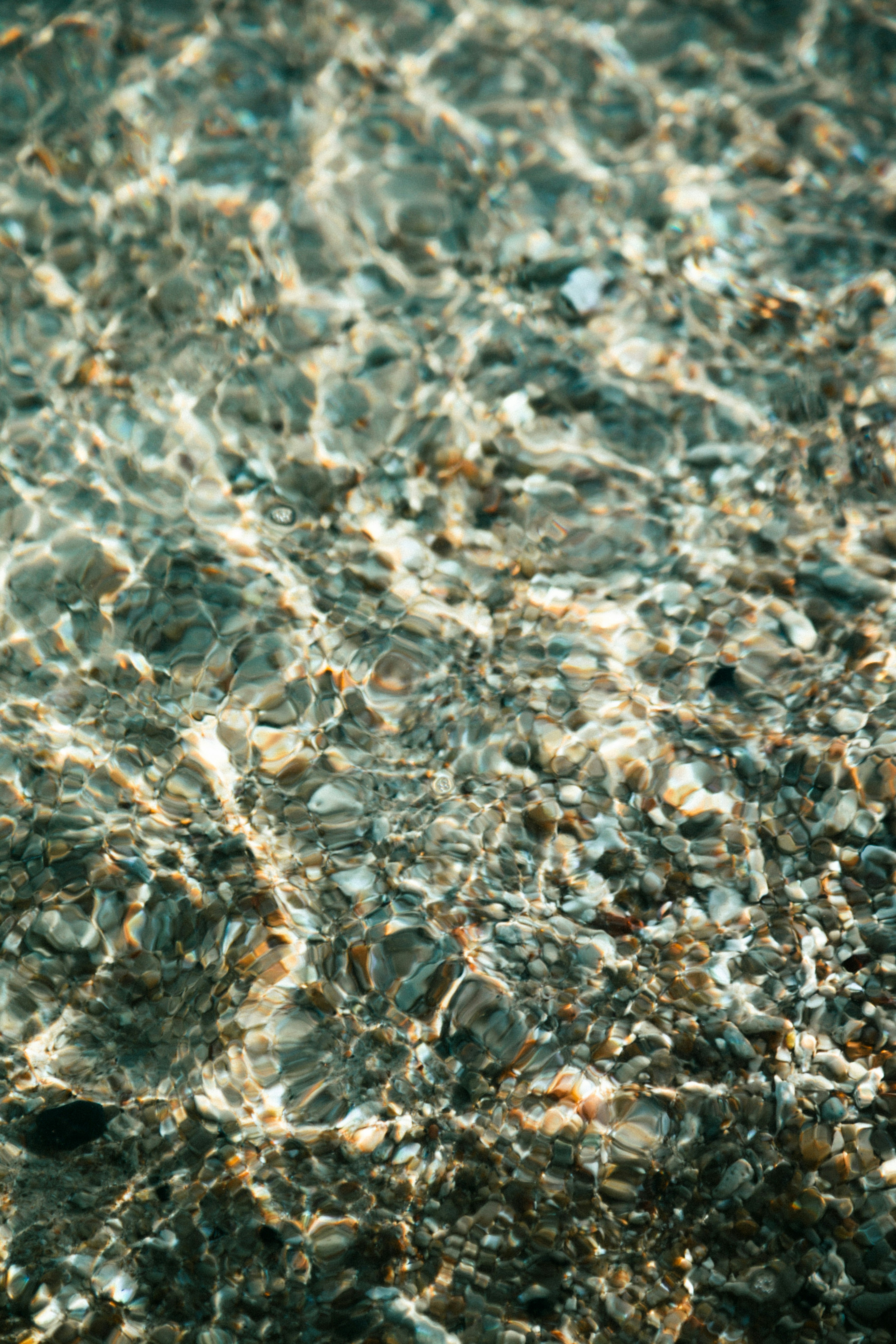 Pedrinhas e conchas sob águas cristalinas do oceano