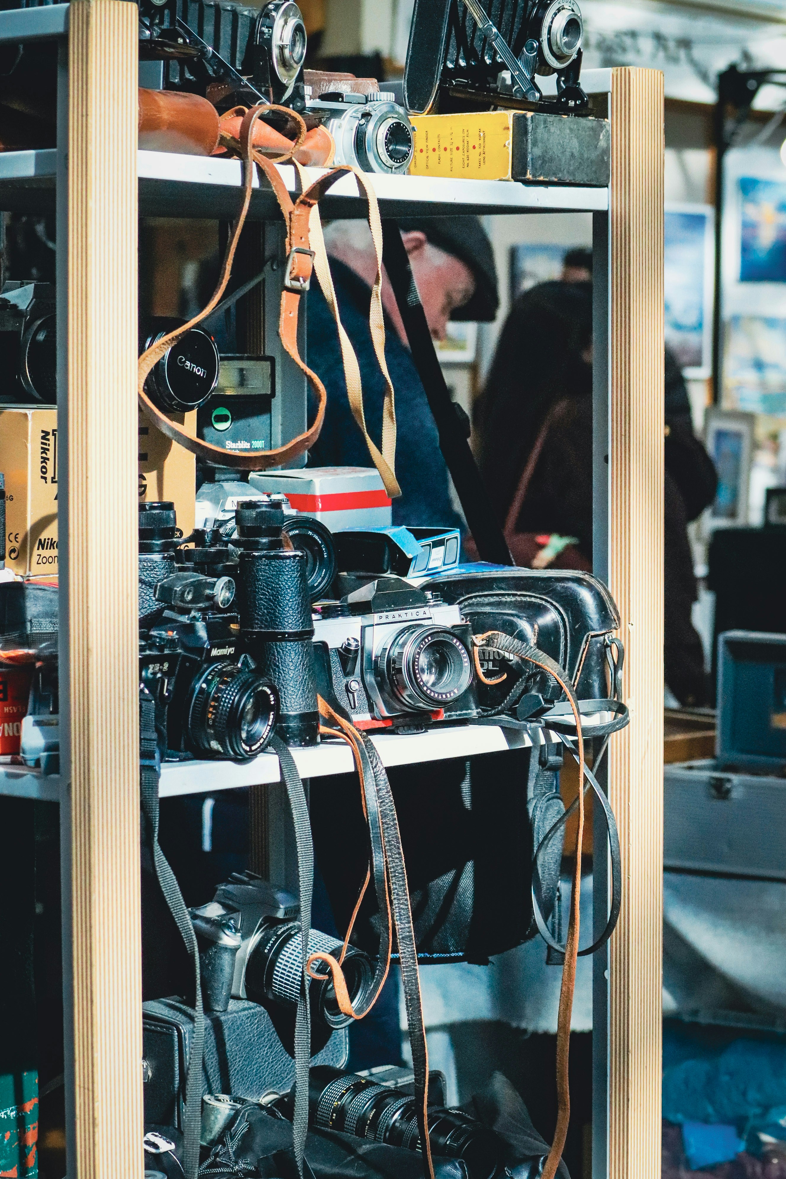 Coleção de câmeras vintage expostas nas prateleiras.