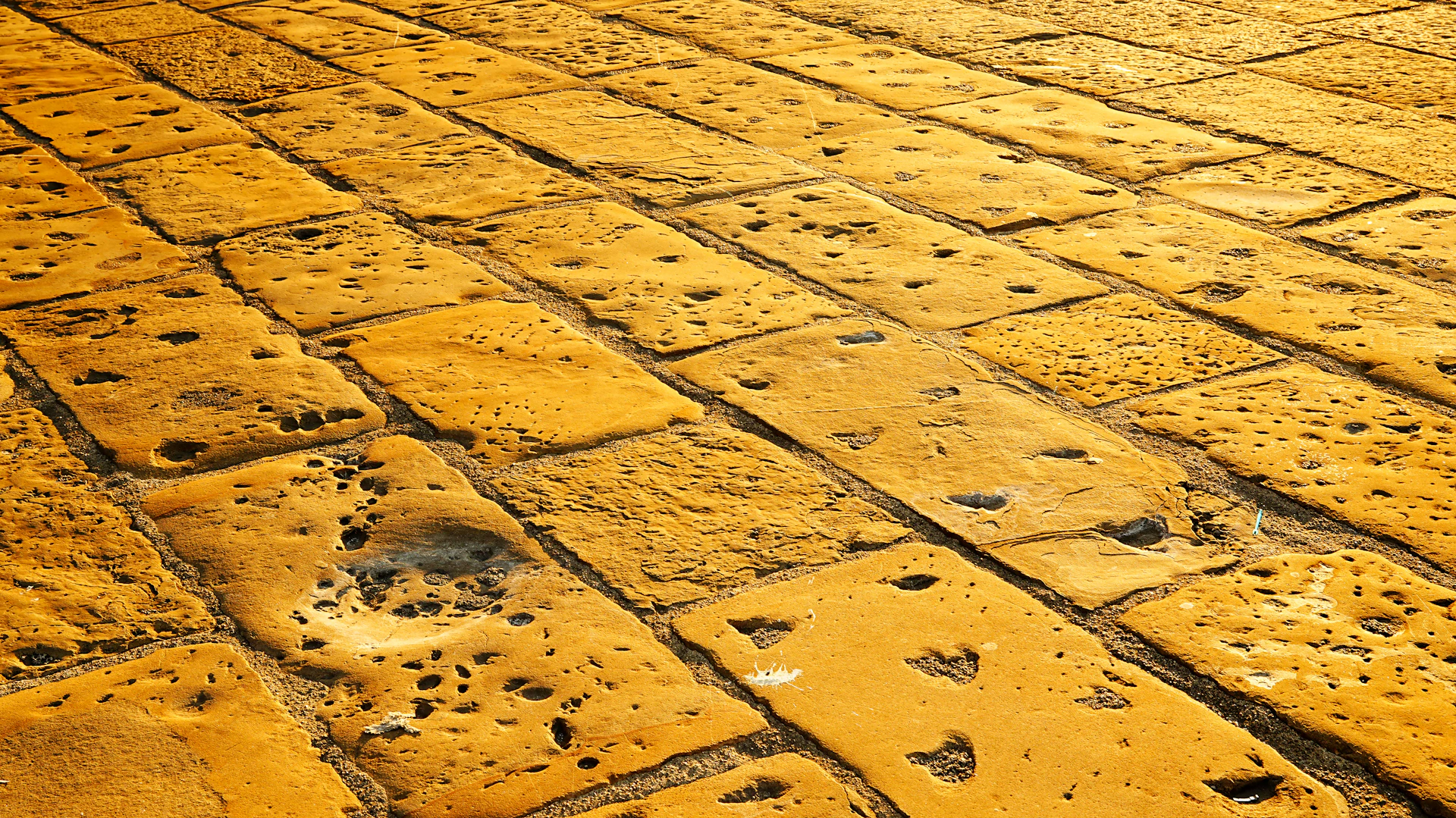 A textured yellow brick road leading forward