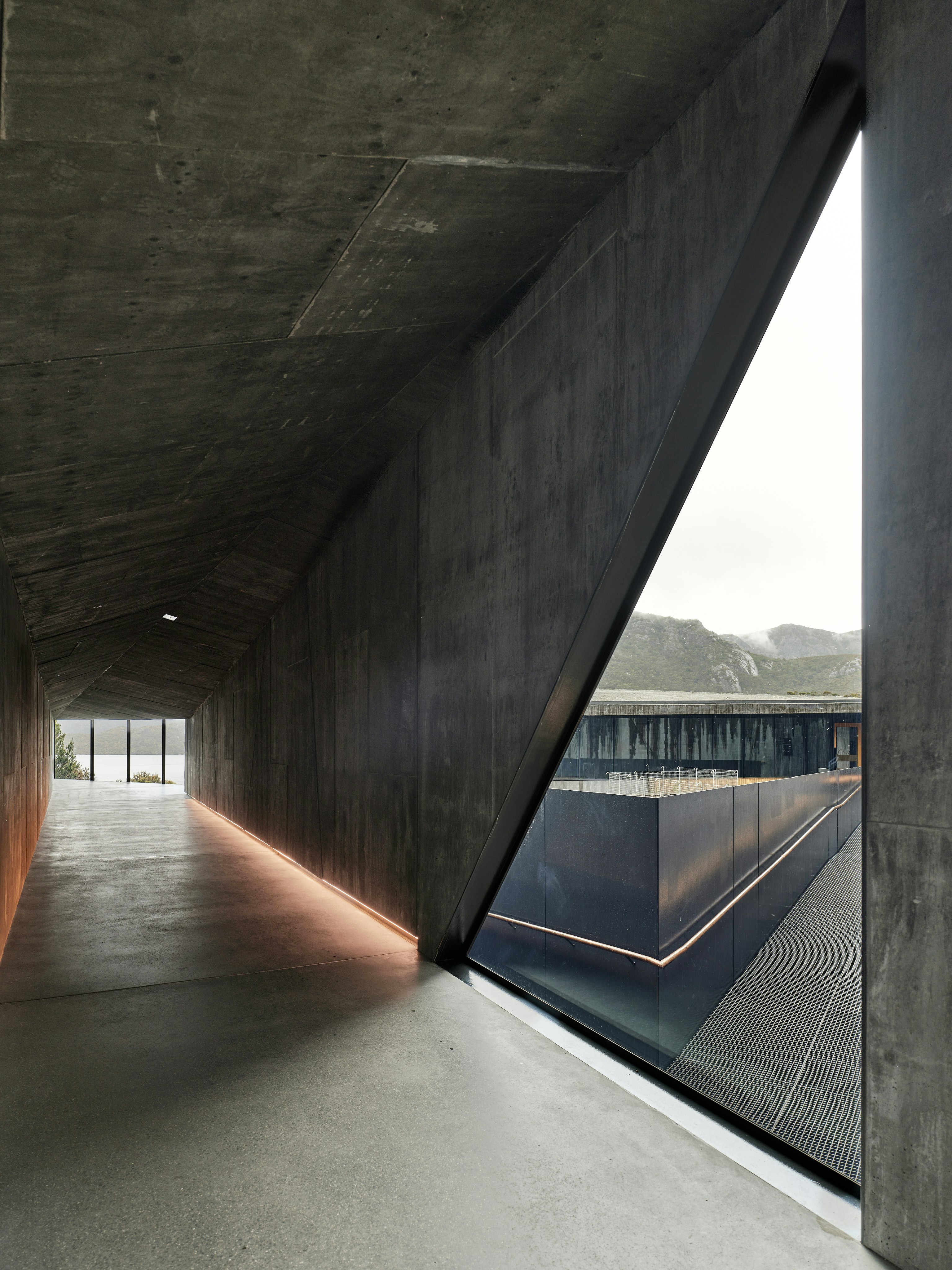 Photo by neonwangphotography