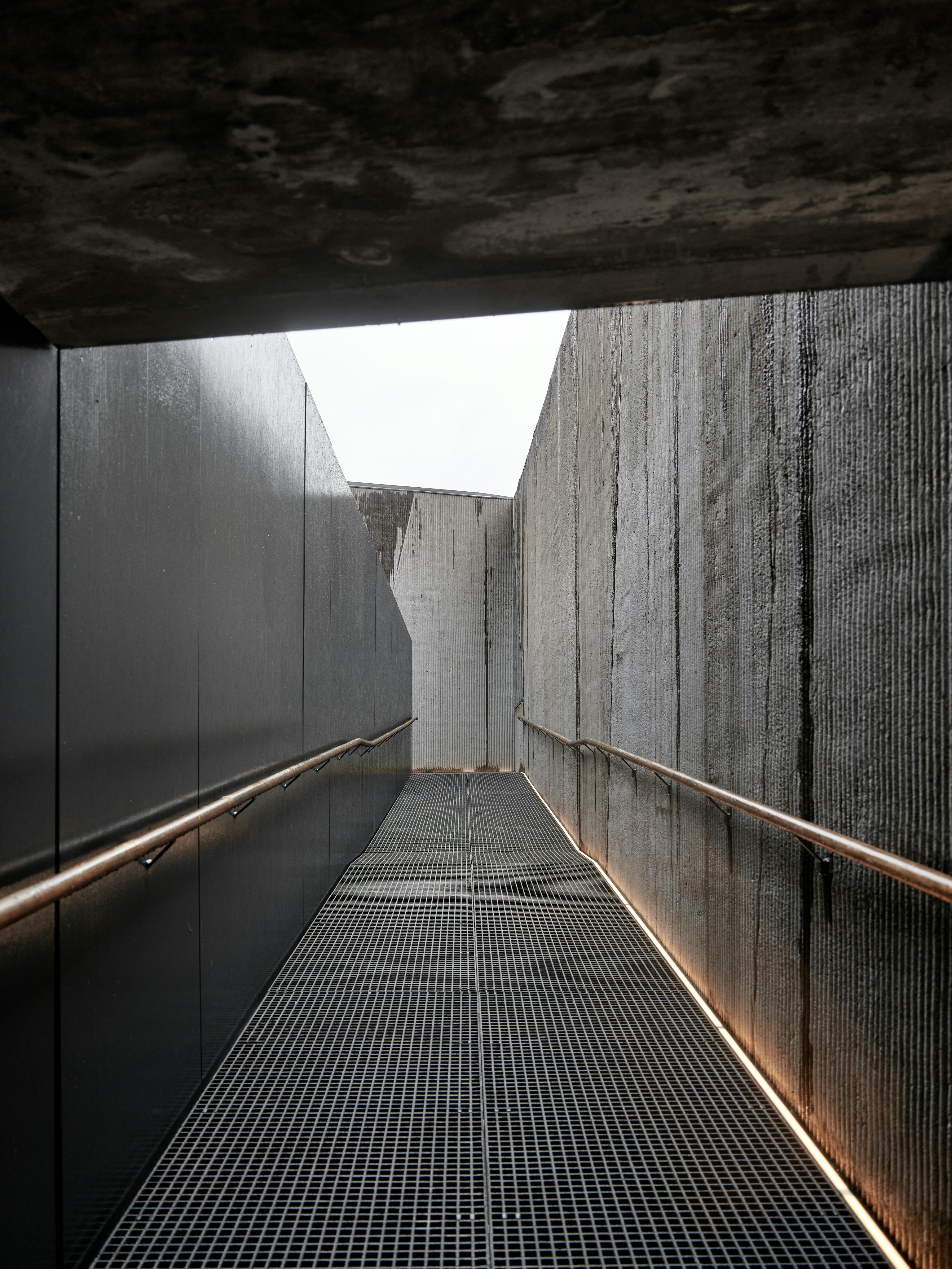 Photo by neonwangphotography