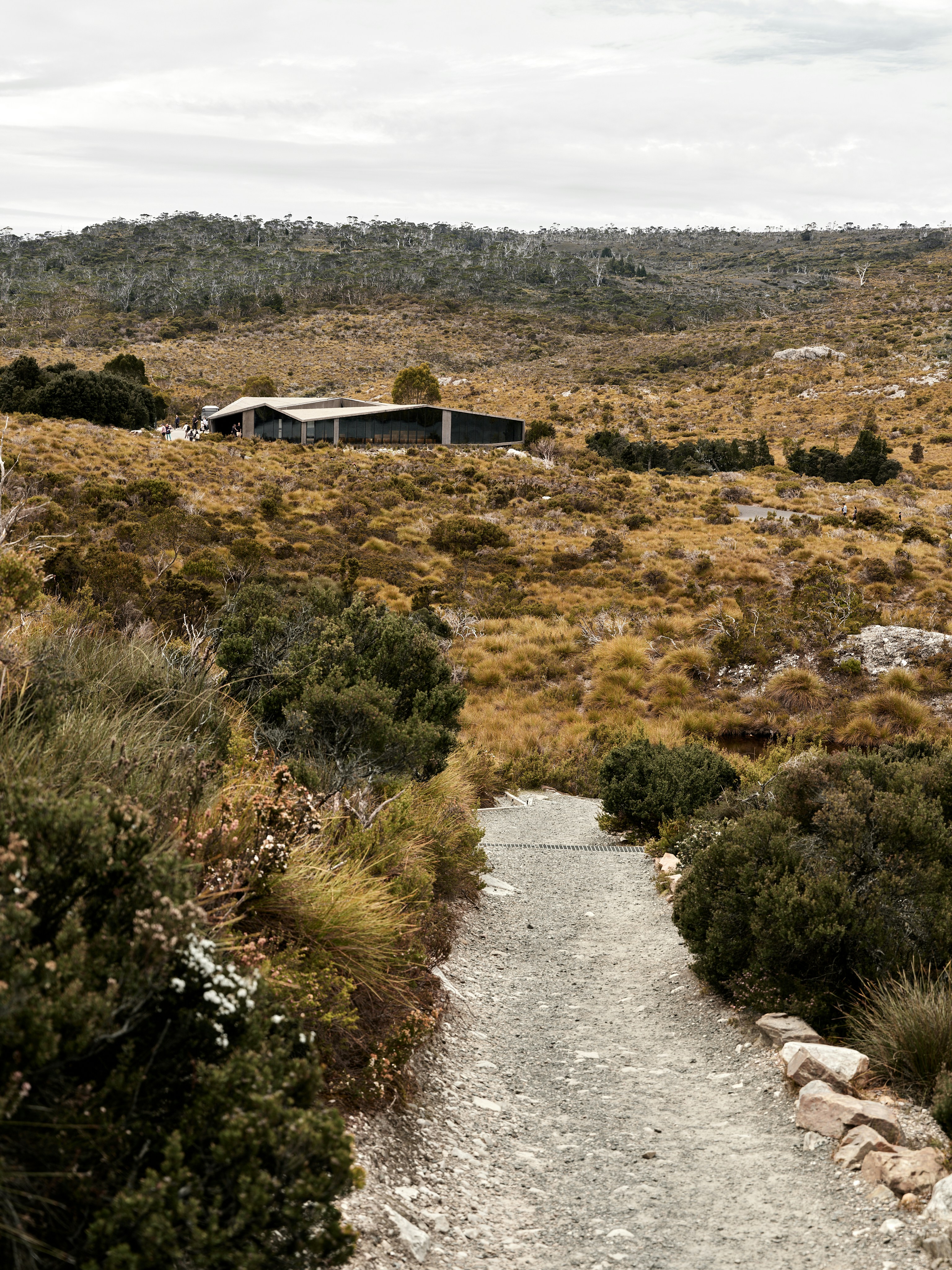 Gravel path leads to a building in a dry landscape.