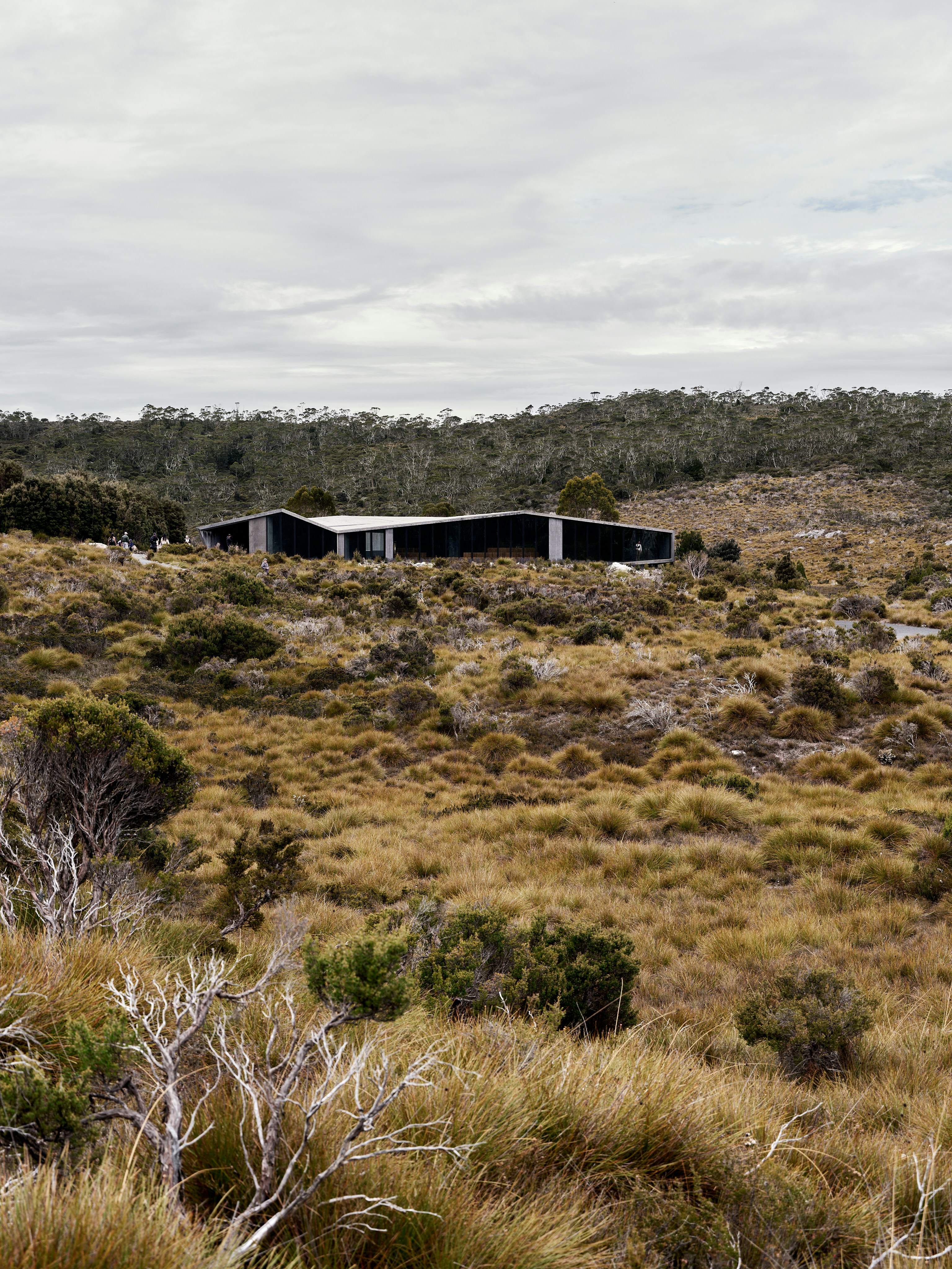 Modern black house nestled in a dry, grassy landscape.