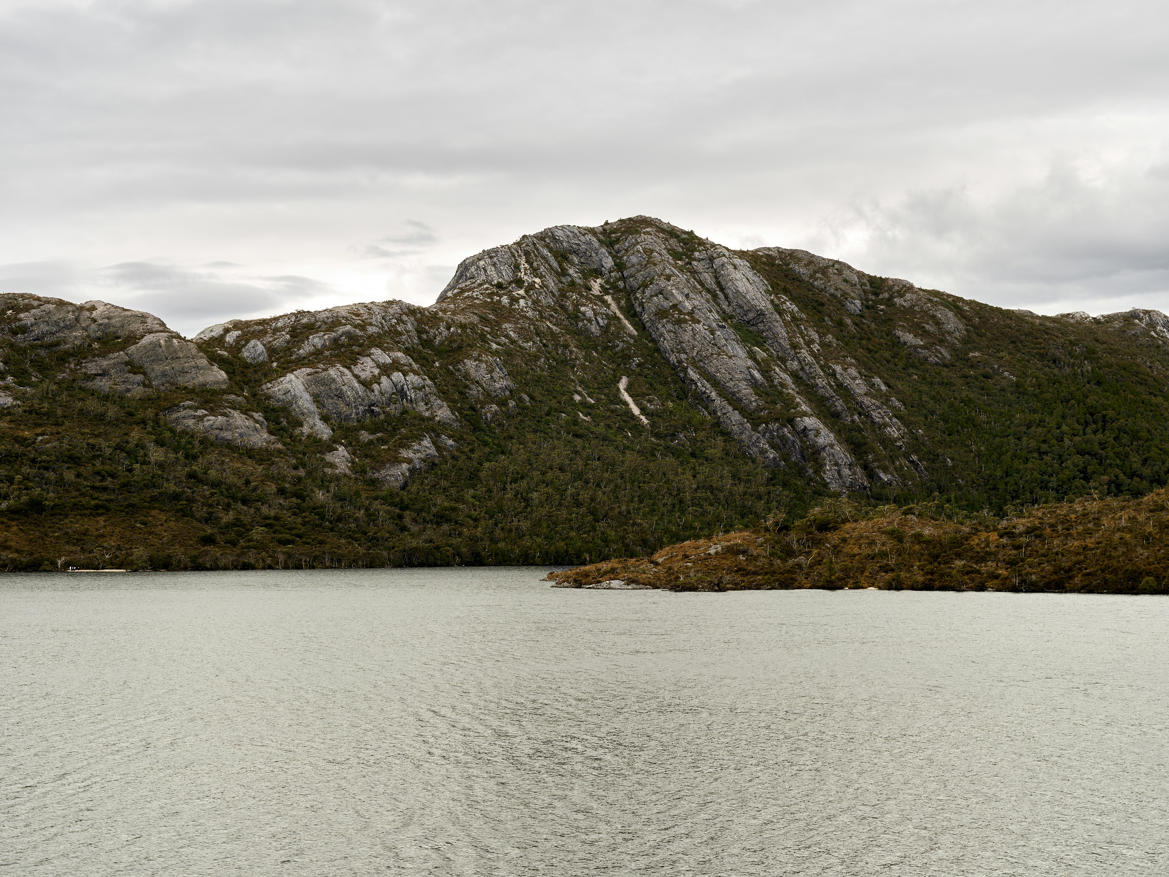 Rocky mountains covered in green trees beside a calm lake