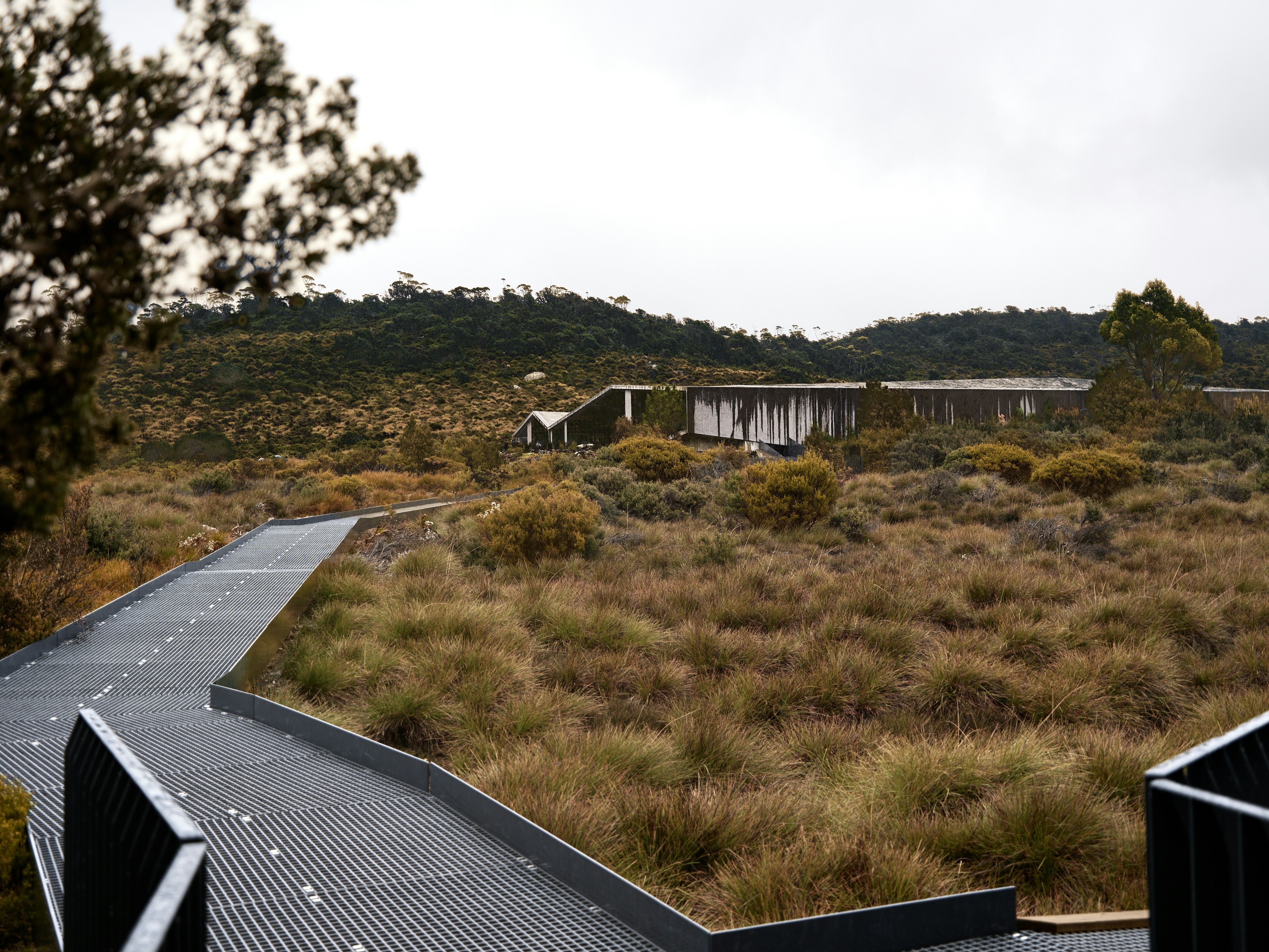 Modern building nestled in a dry, grassy landscape.