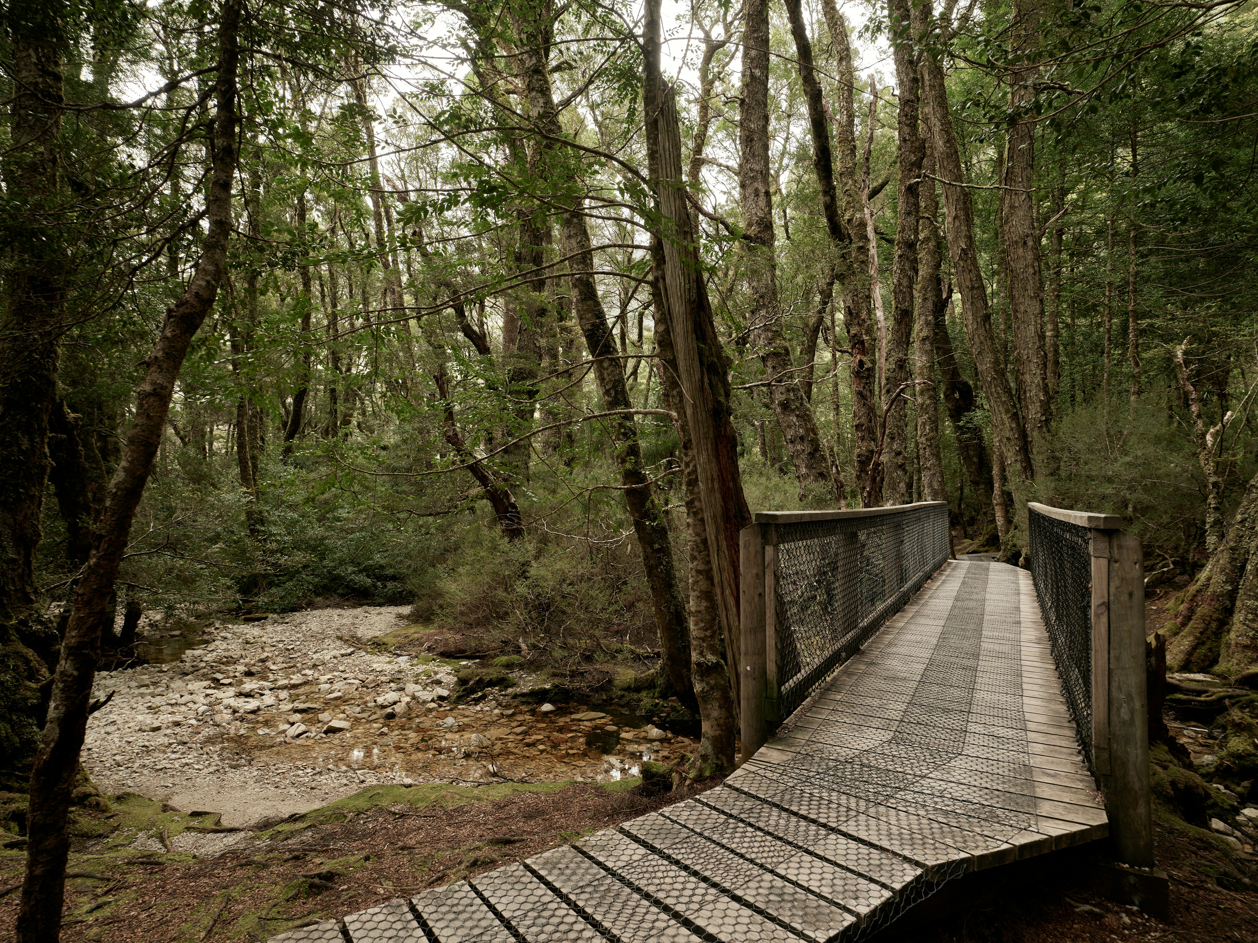 Photo by neonwangphotography