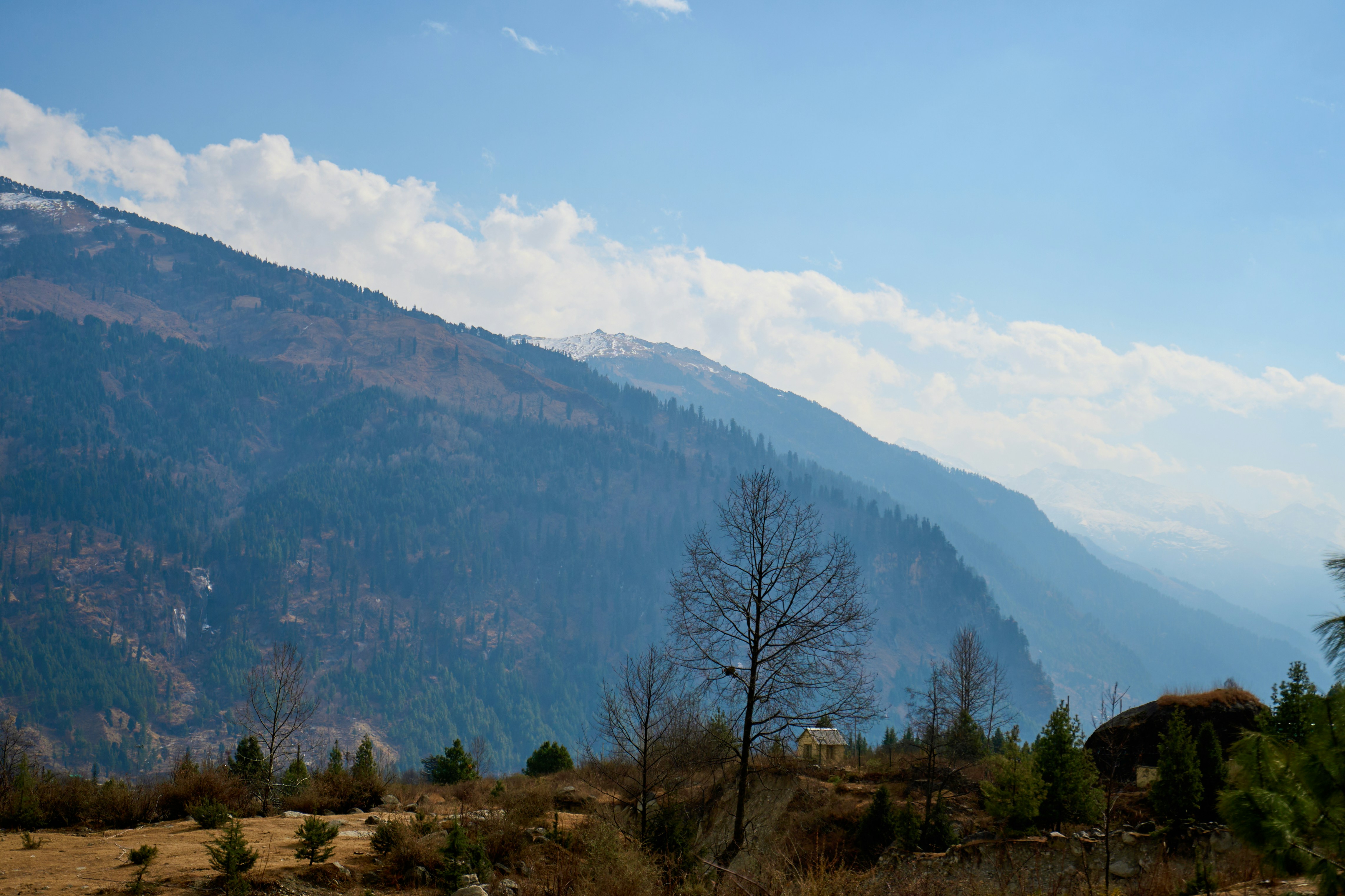 Photo by countingframez