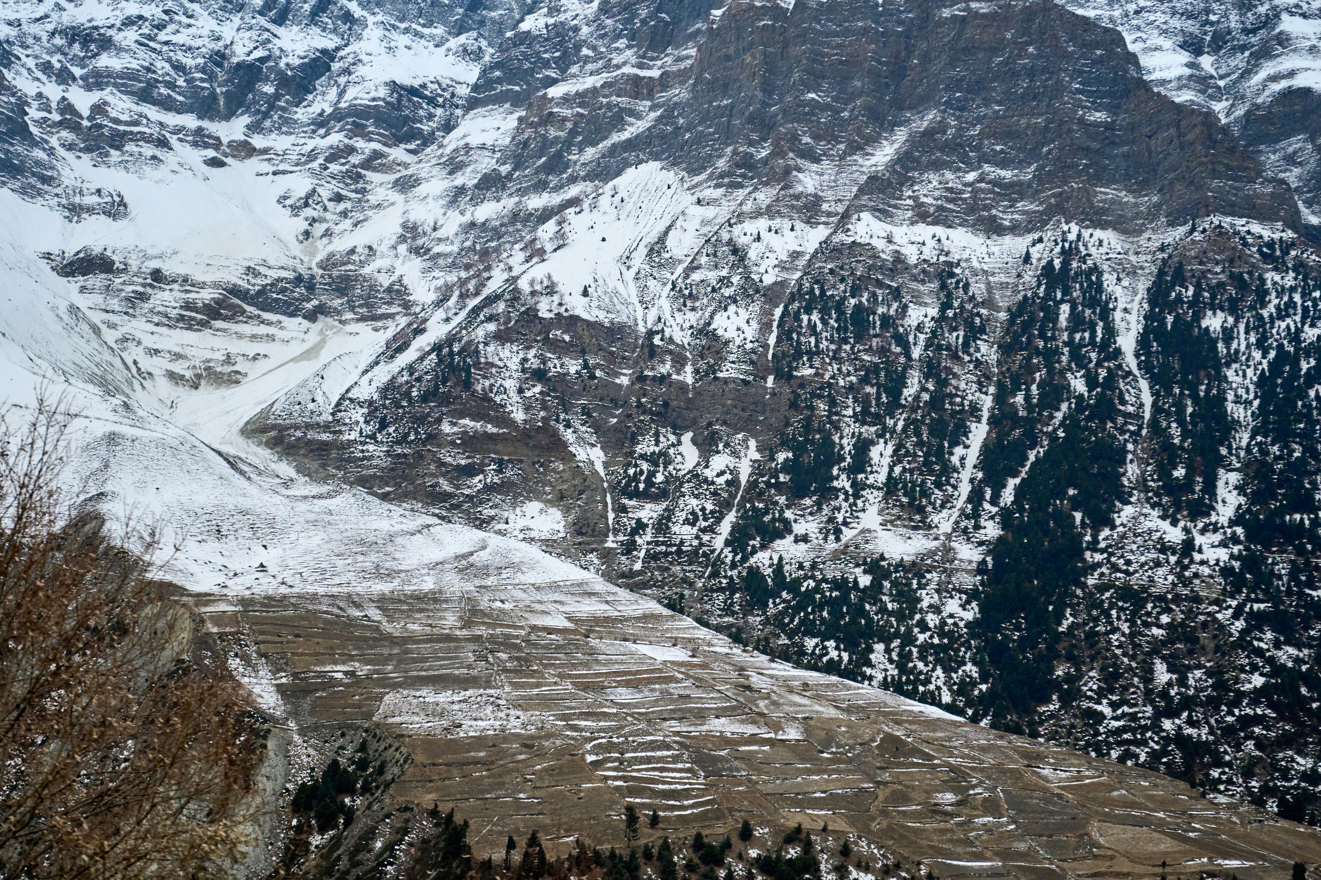 Photo by countingframez