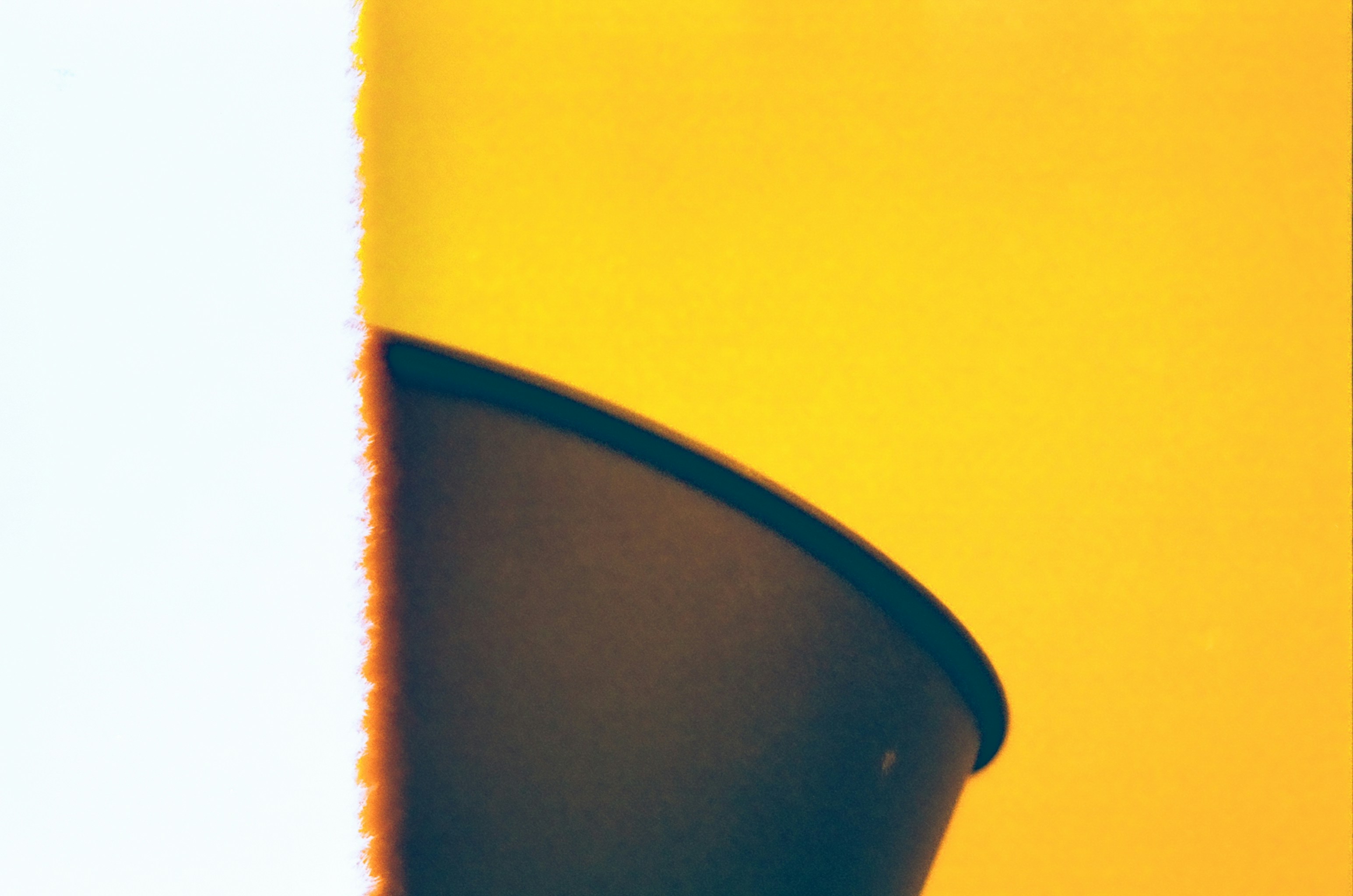 Photo by wilson901124