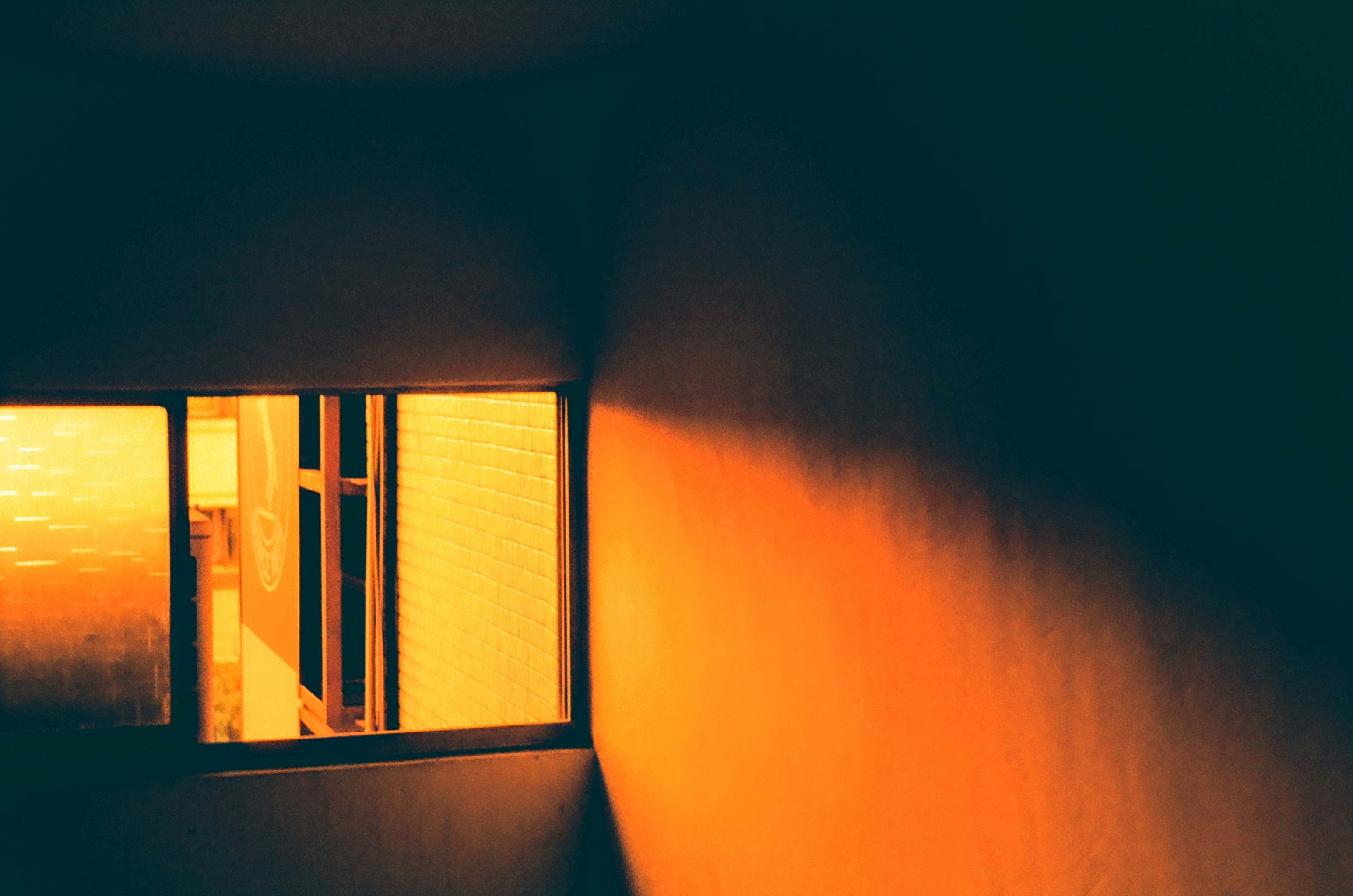 Photo by wilson901124