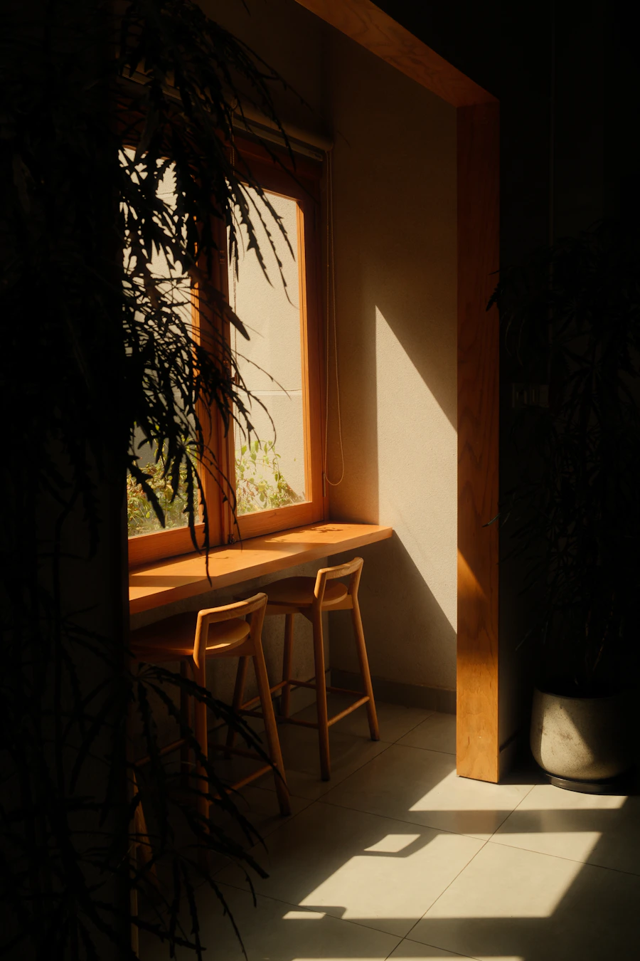 Sunlight falling across a quiet window-side space