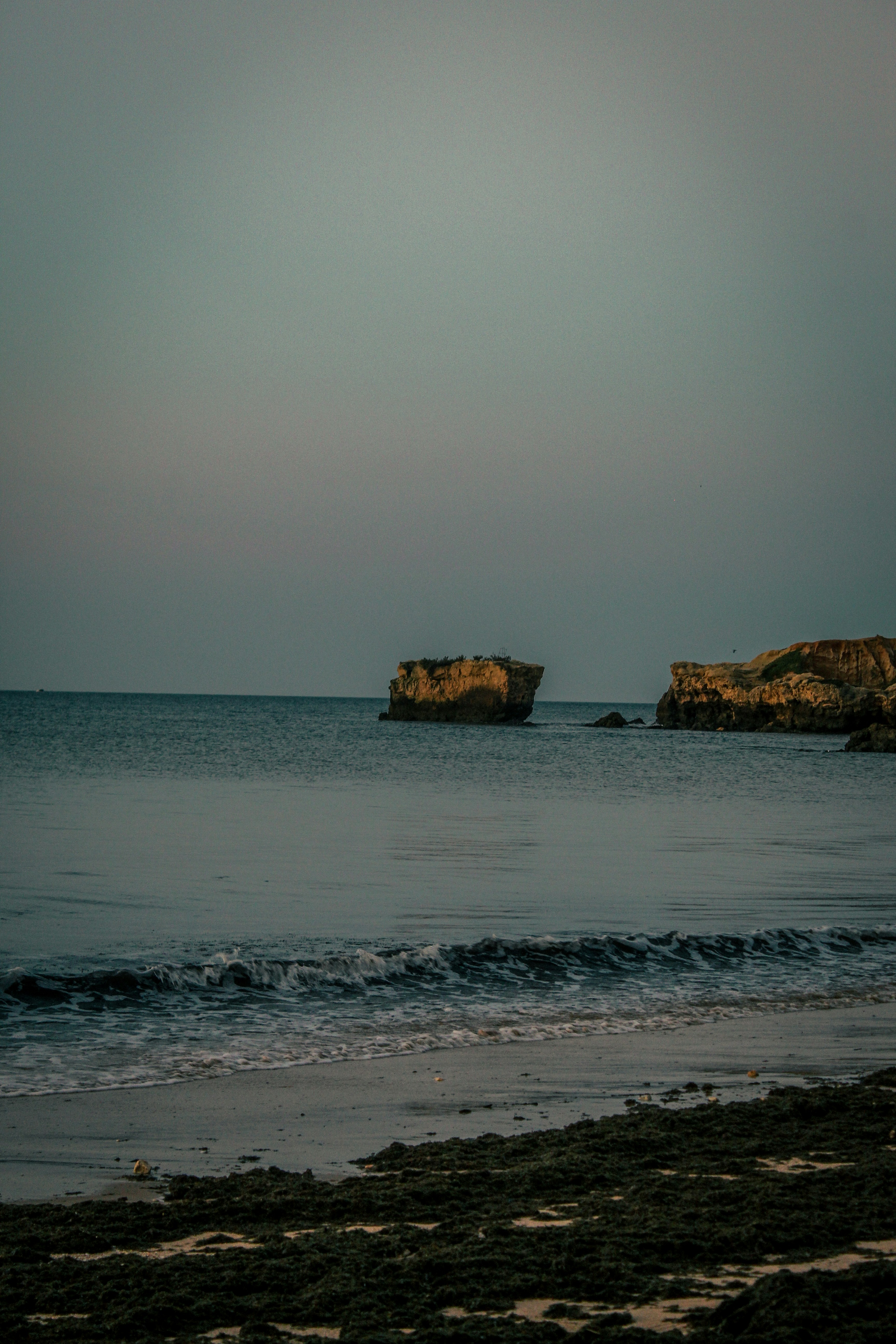 Photo by padi26