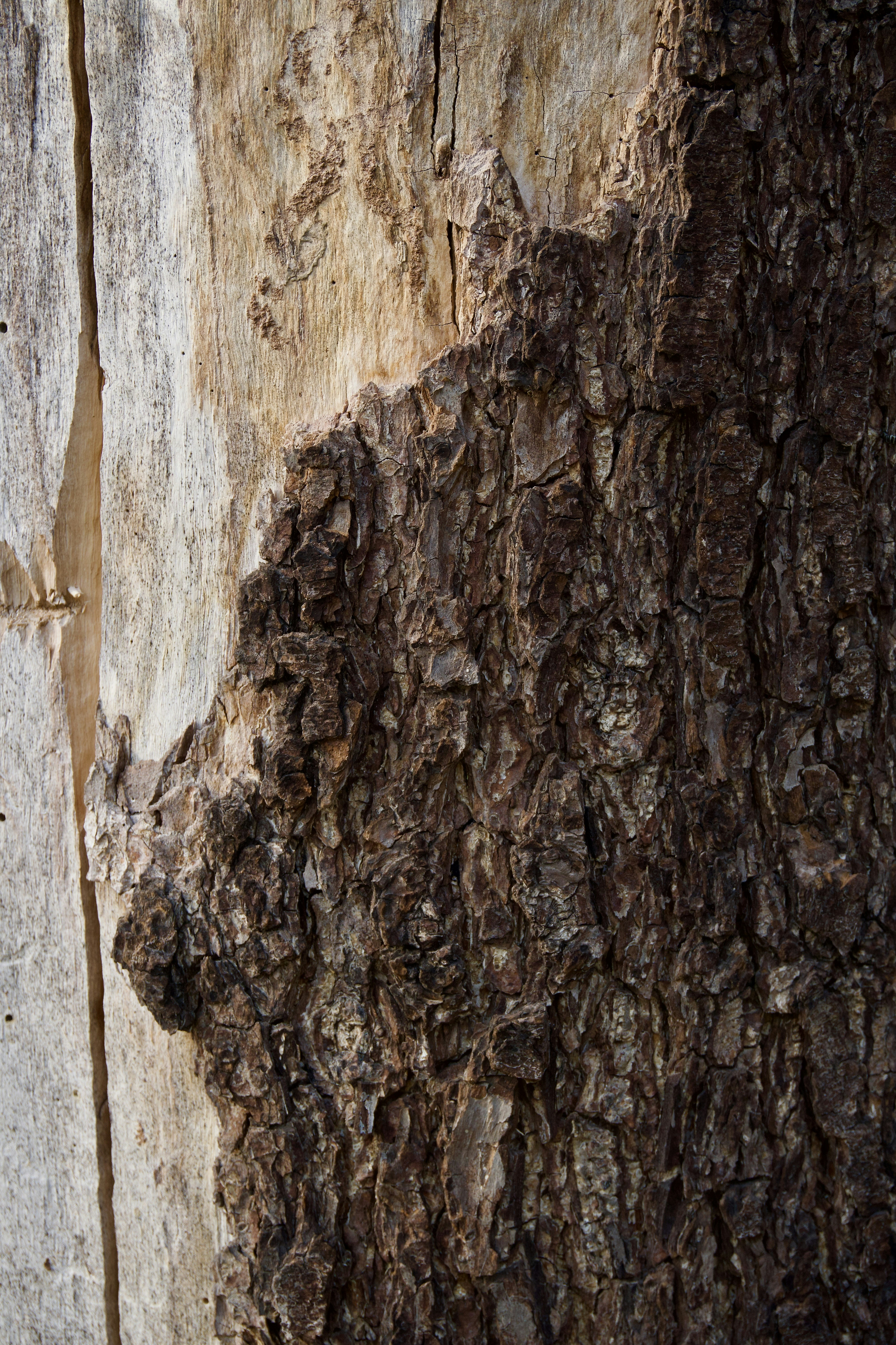 Photo by aliona_zahrai