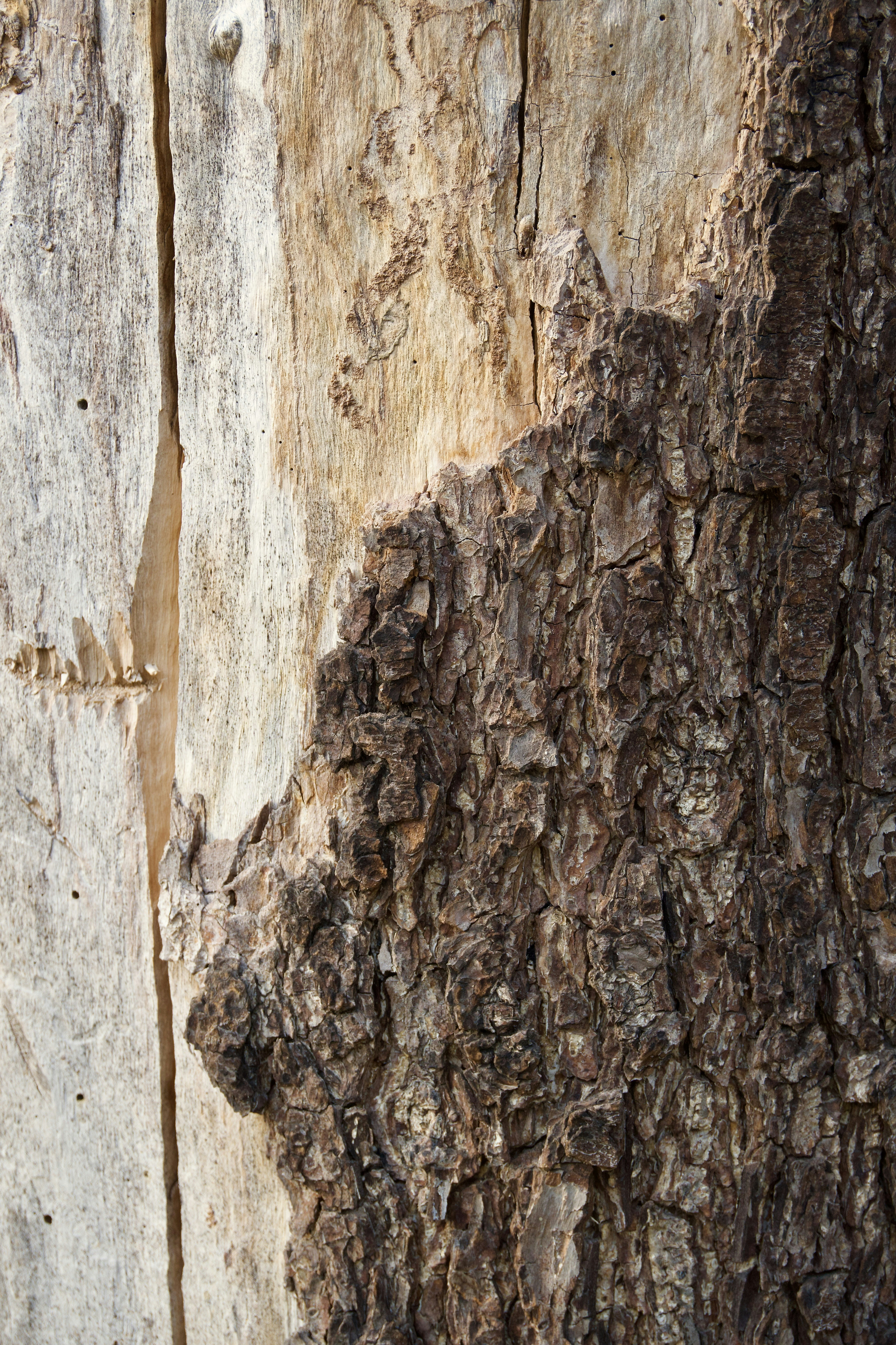 Photo by aliona_zahrai