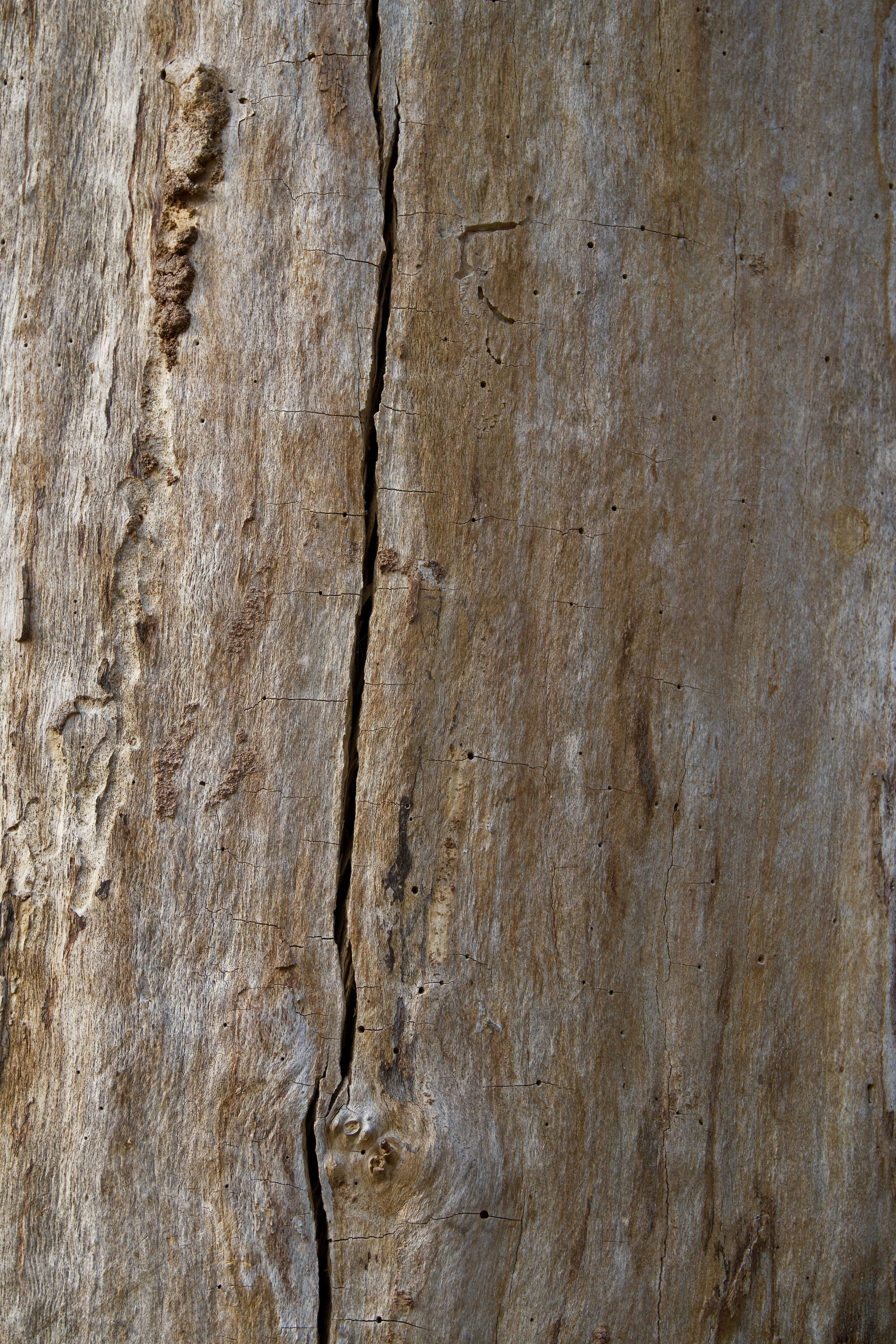 Photo by aliona_zahrai