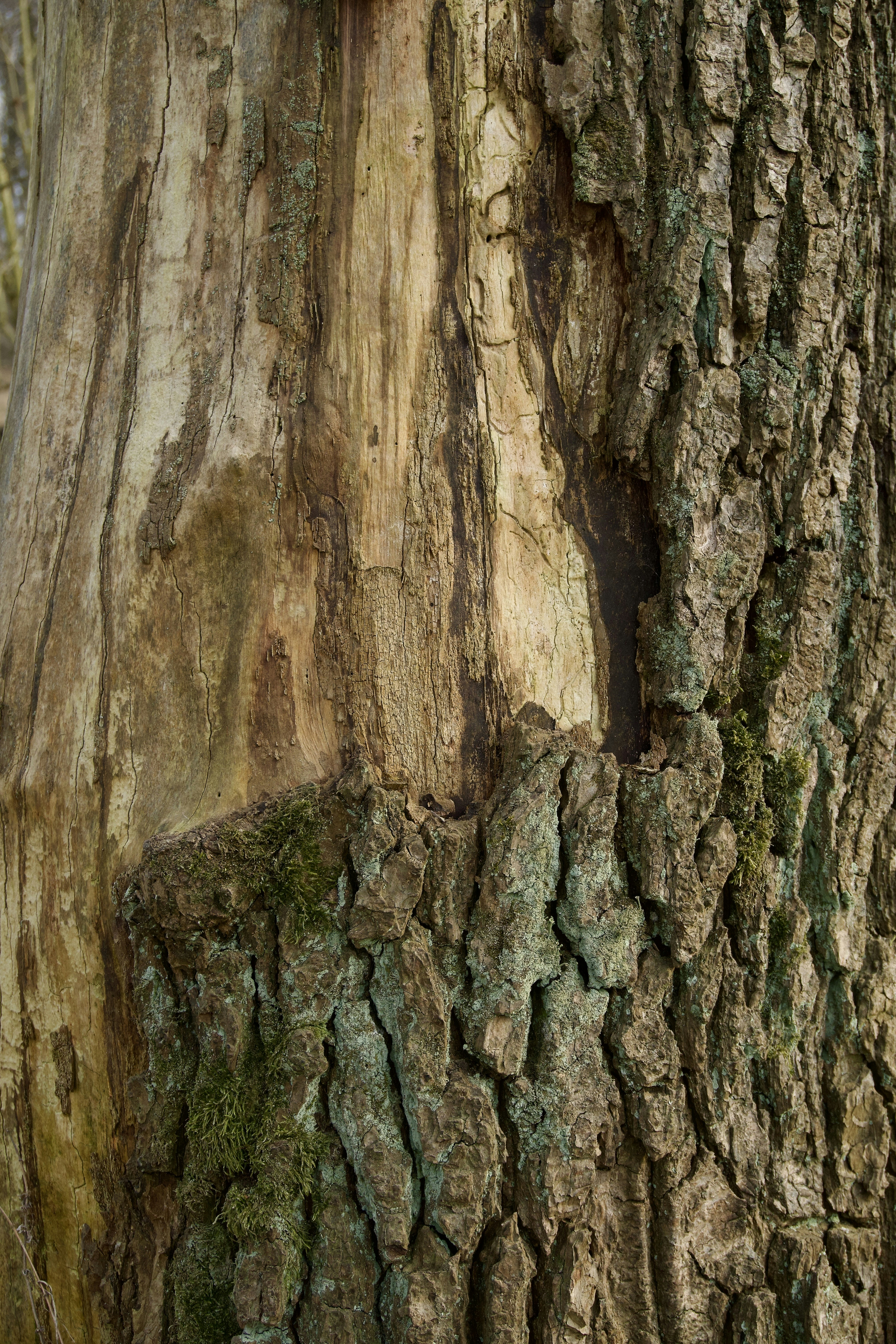 Photo by aliona_zahrai