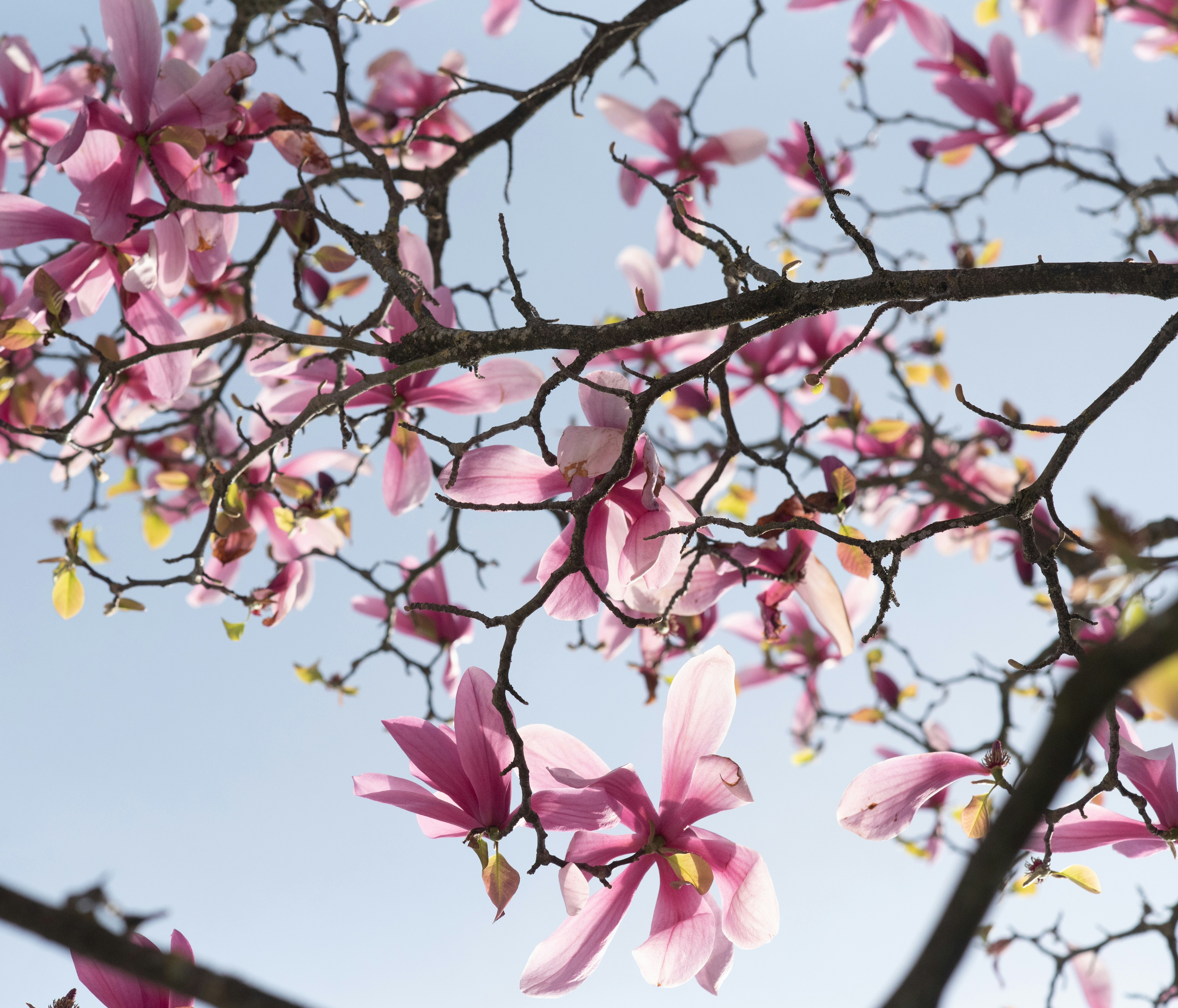 Photo by nadine_gern