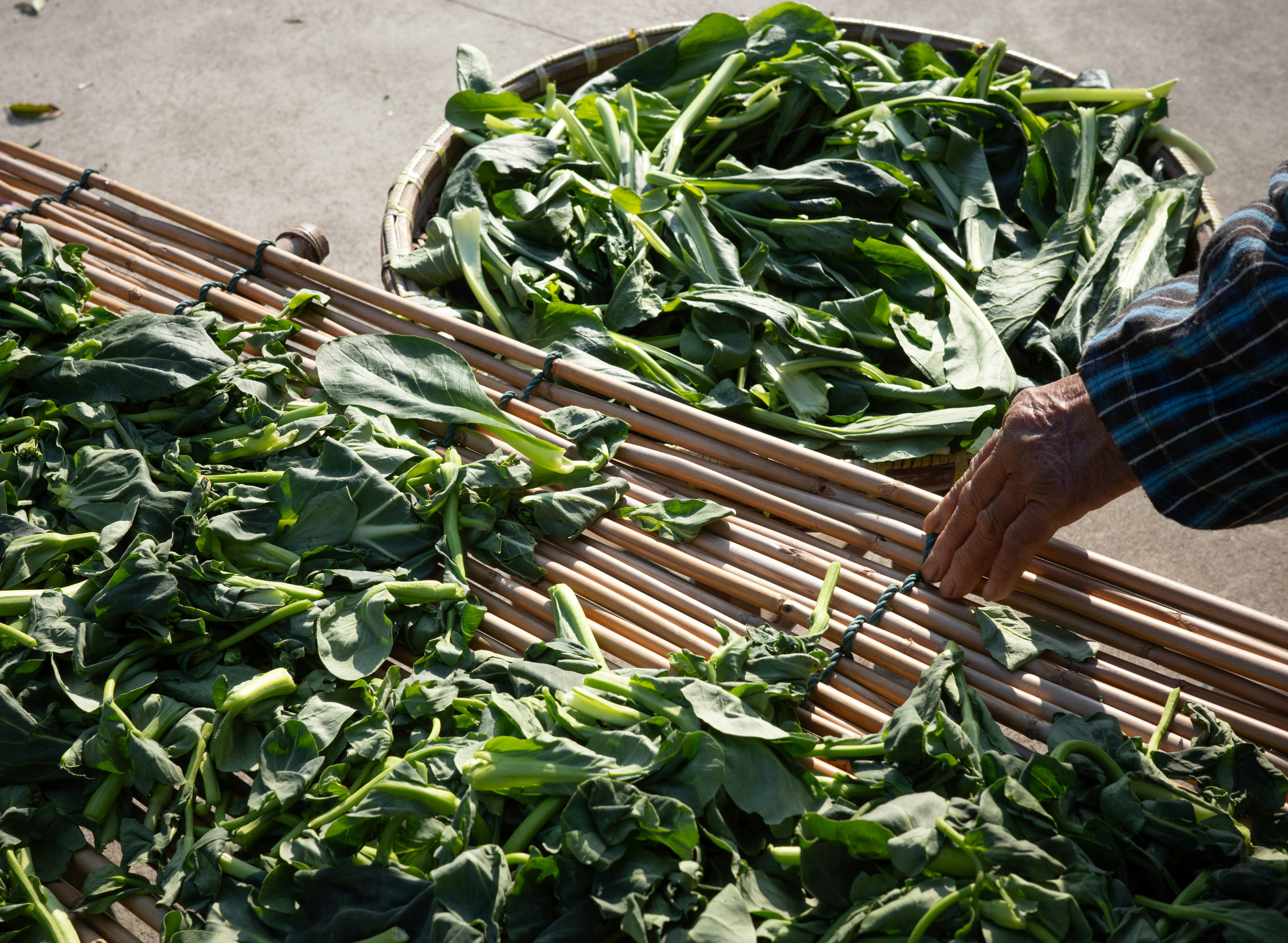 Healthy crops after using our products