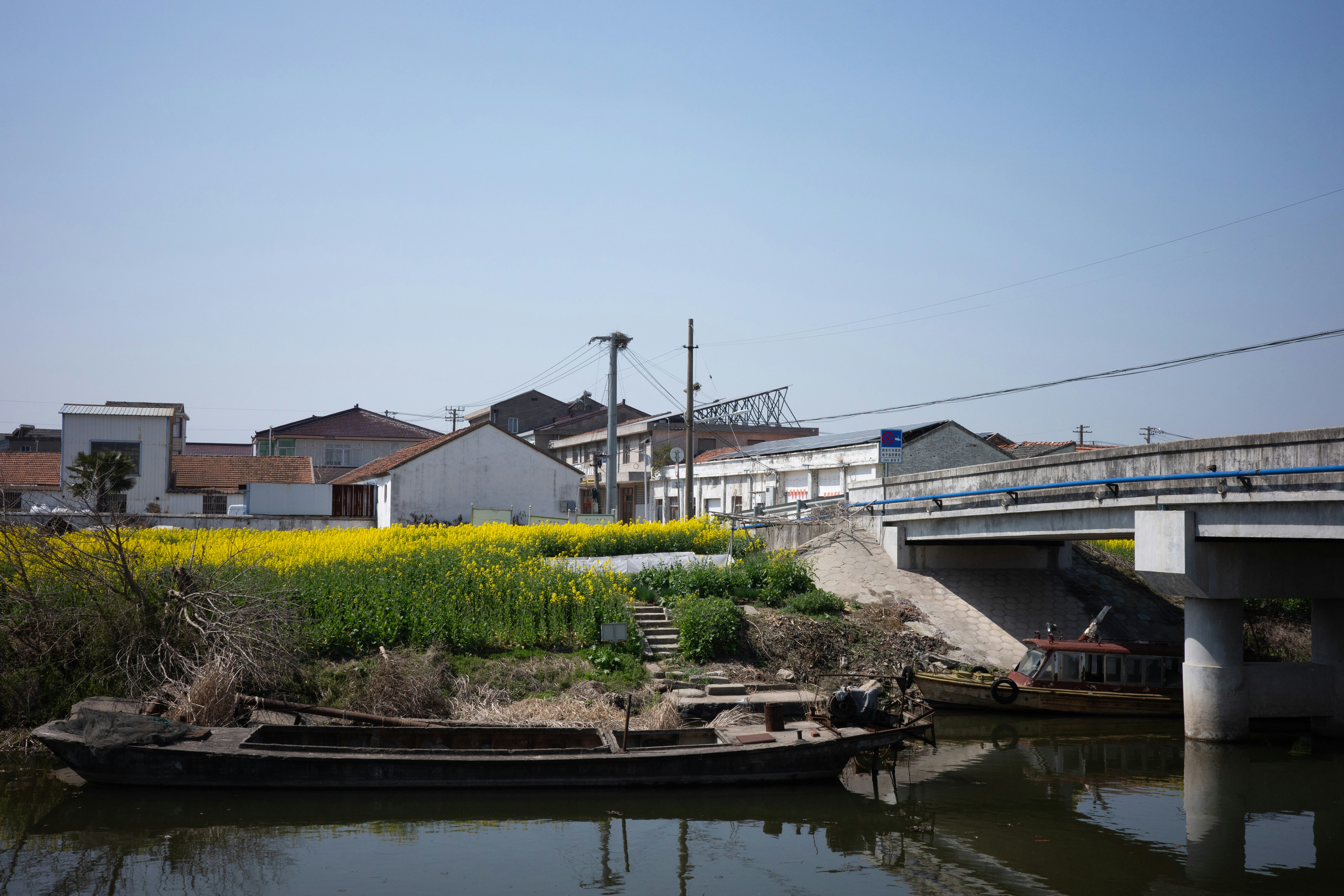 Boats on a river beside a village with yellow flowers.