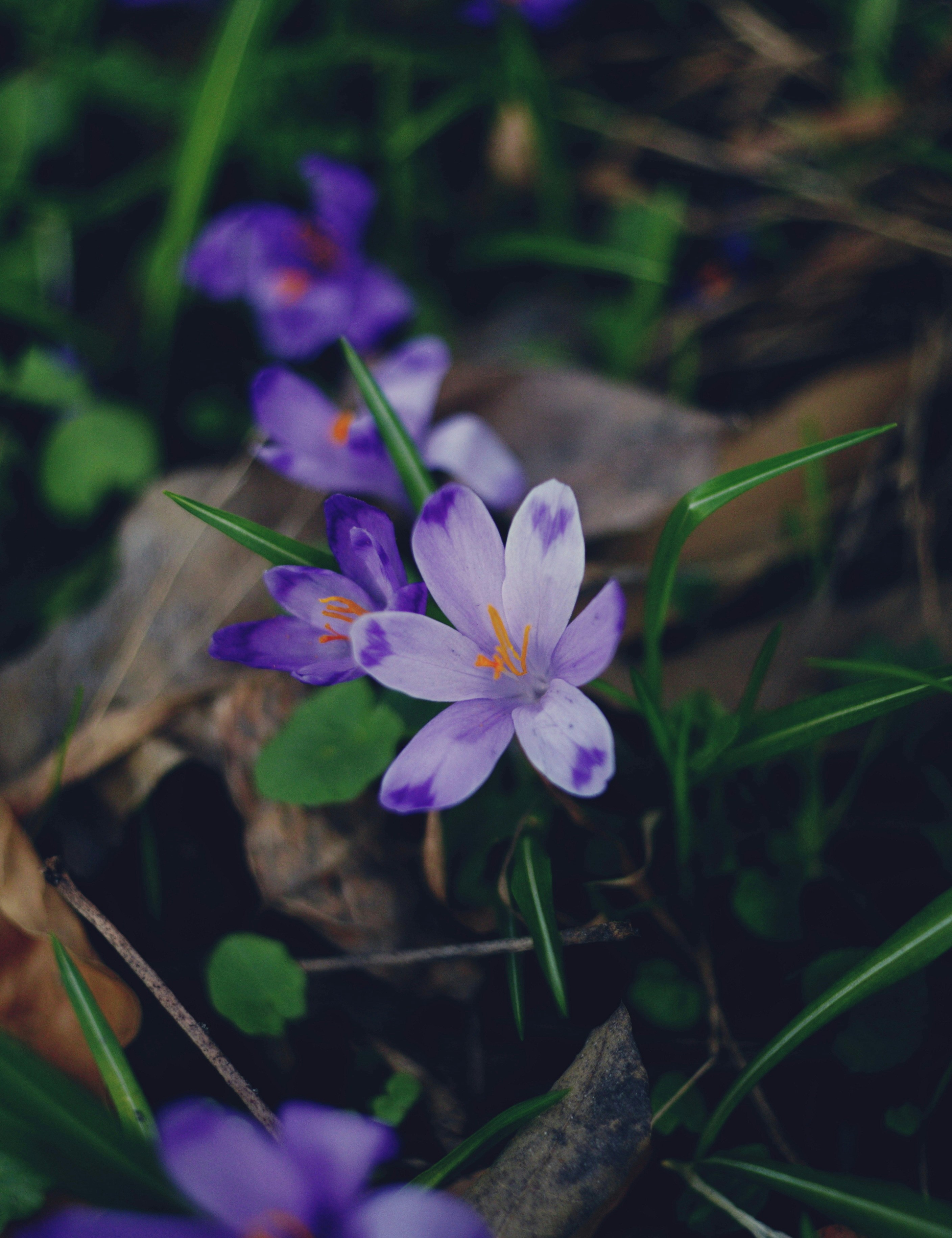 Photo by cherstve_pechivo