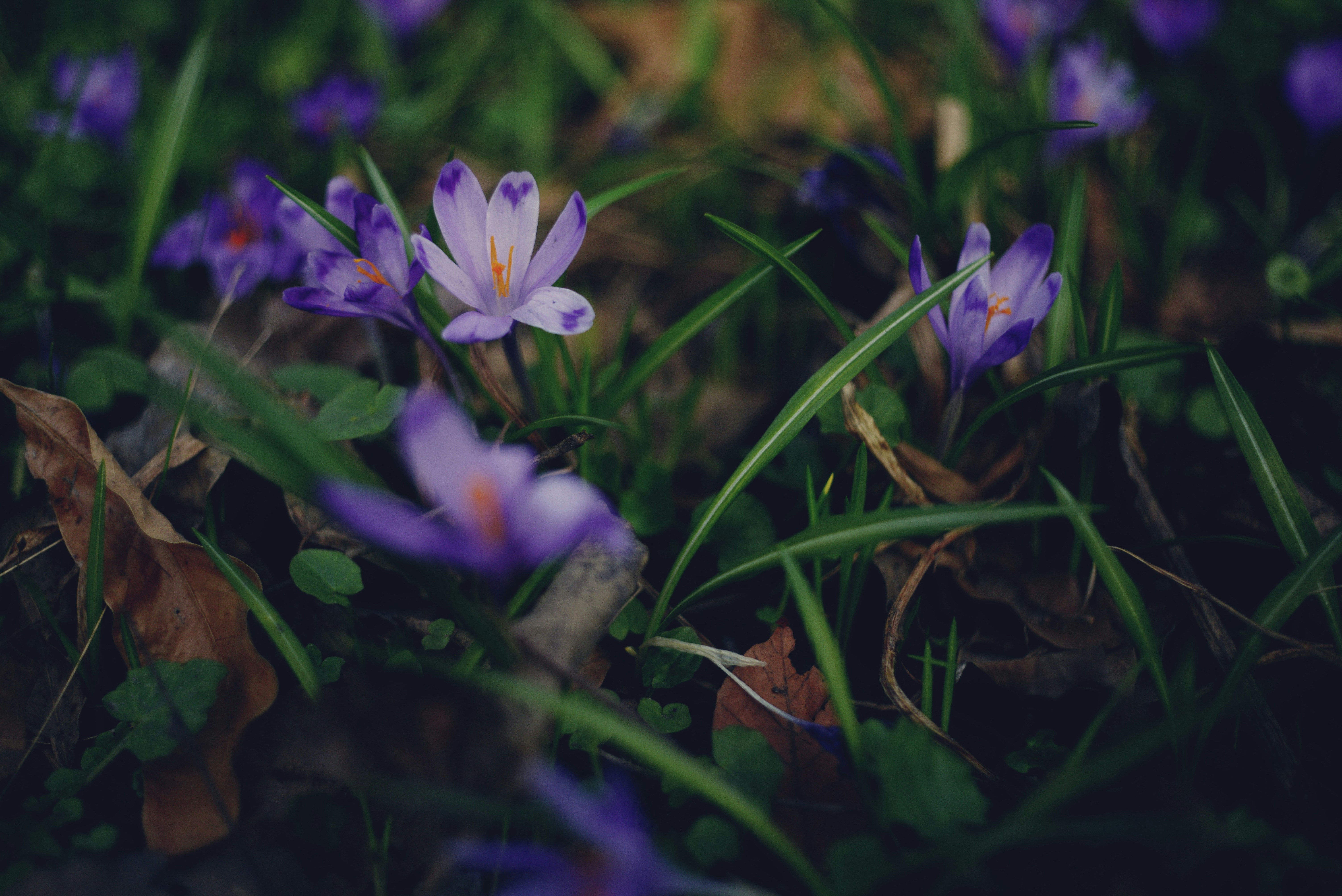 Photo by cherstve_pechivo