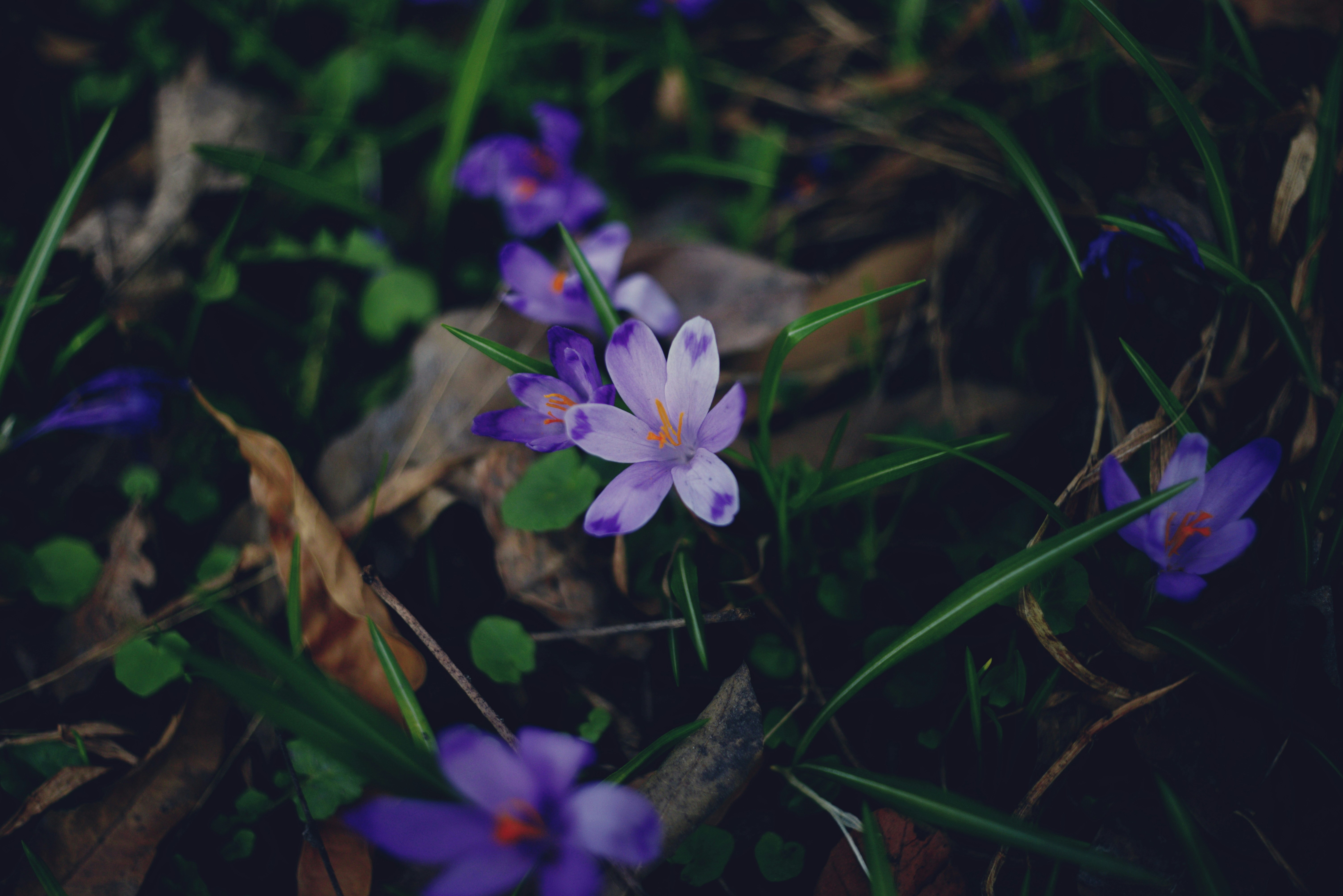 Photo by cherstve_pechivo