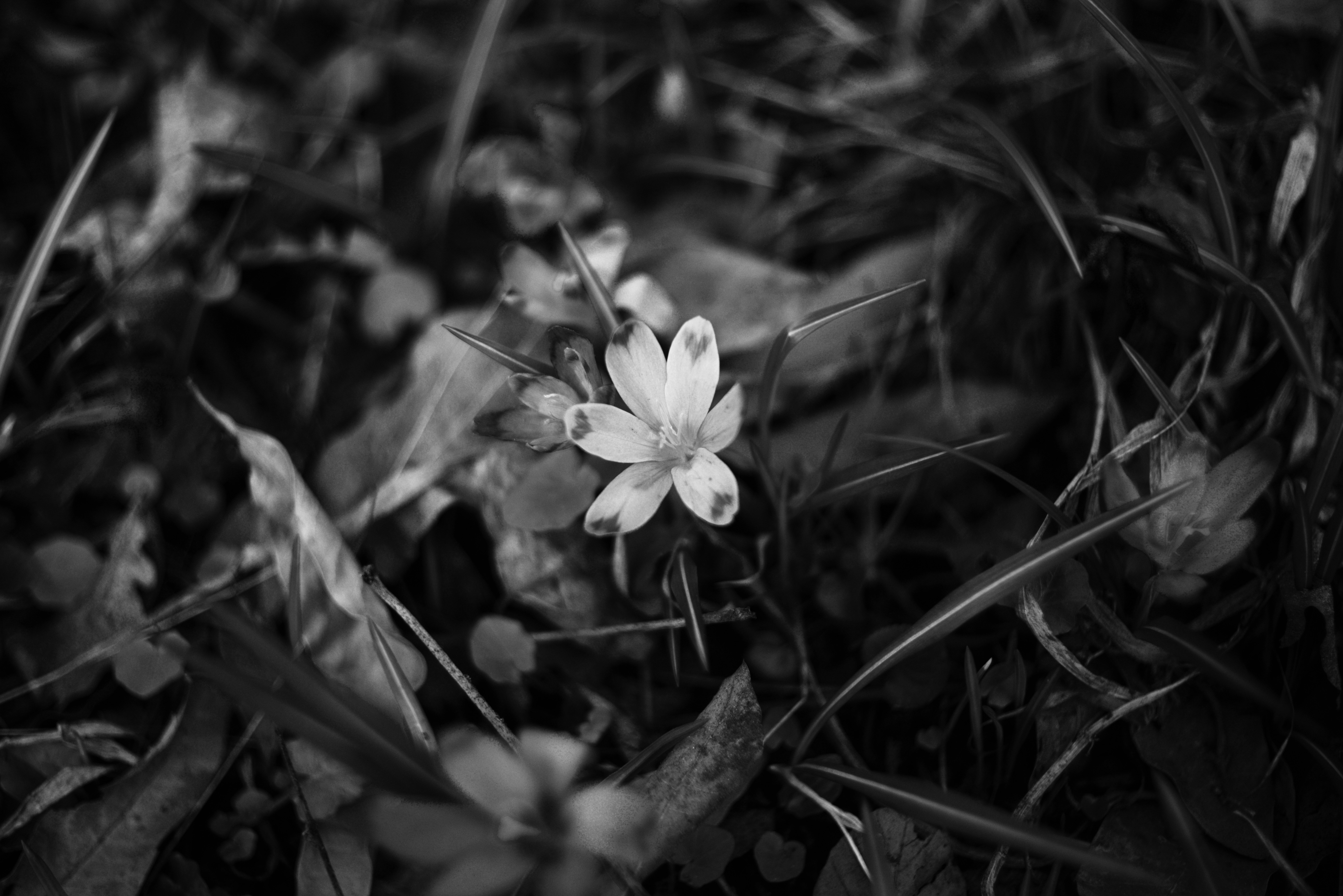 Photo by cherstve_pechivo