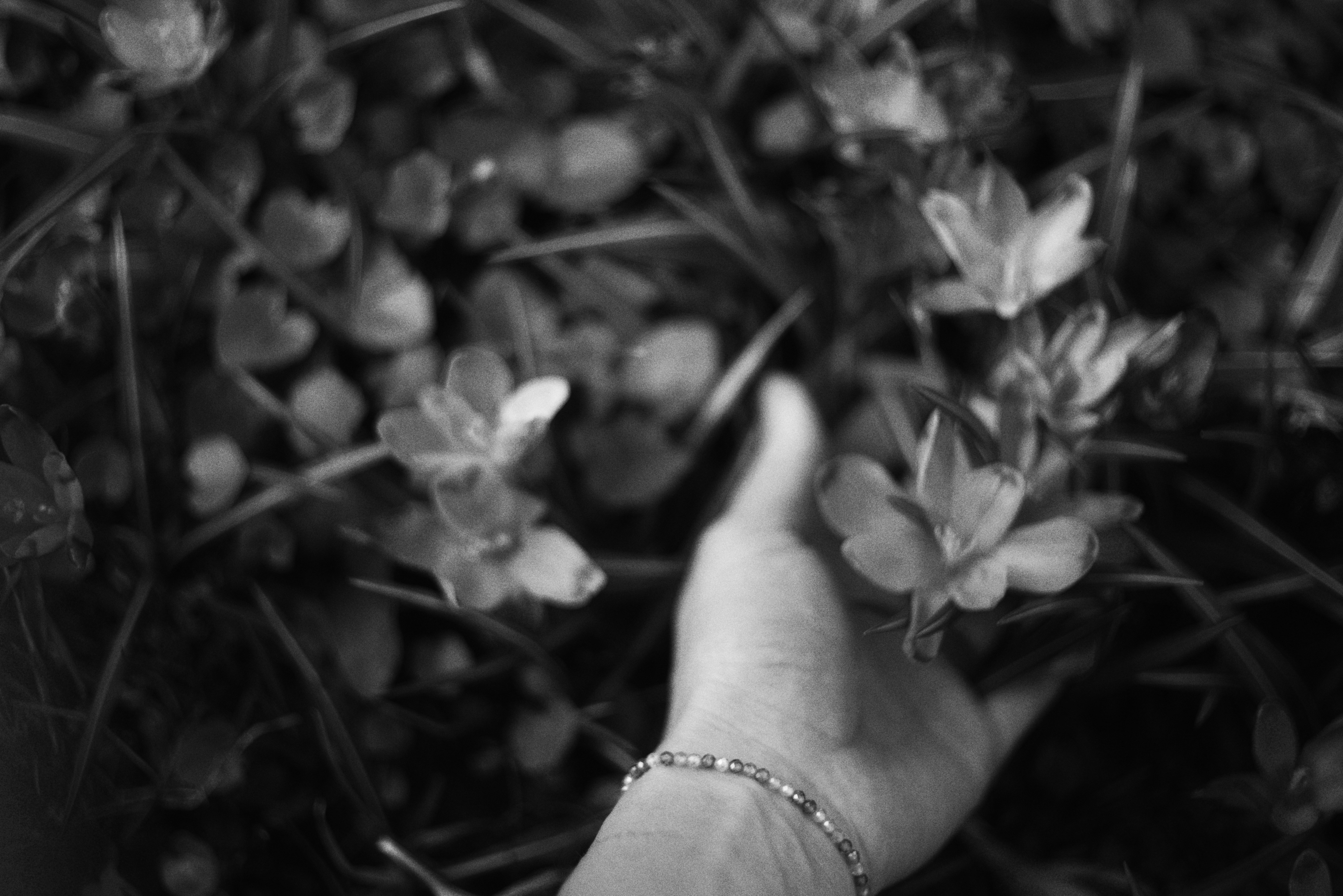 Photo by cherstve_pechivo