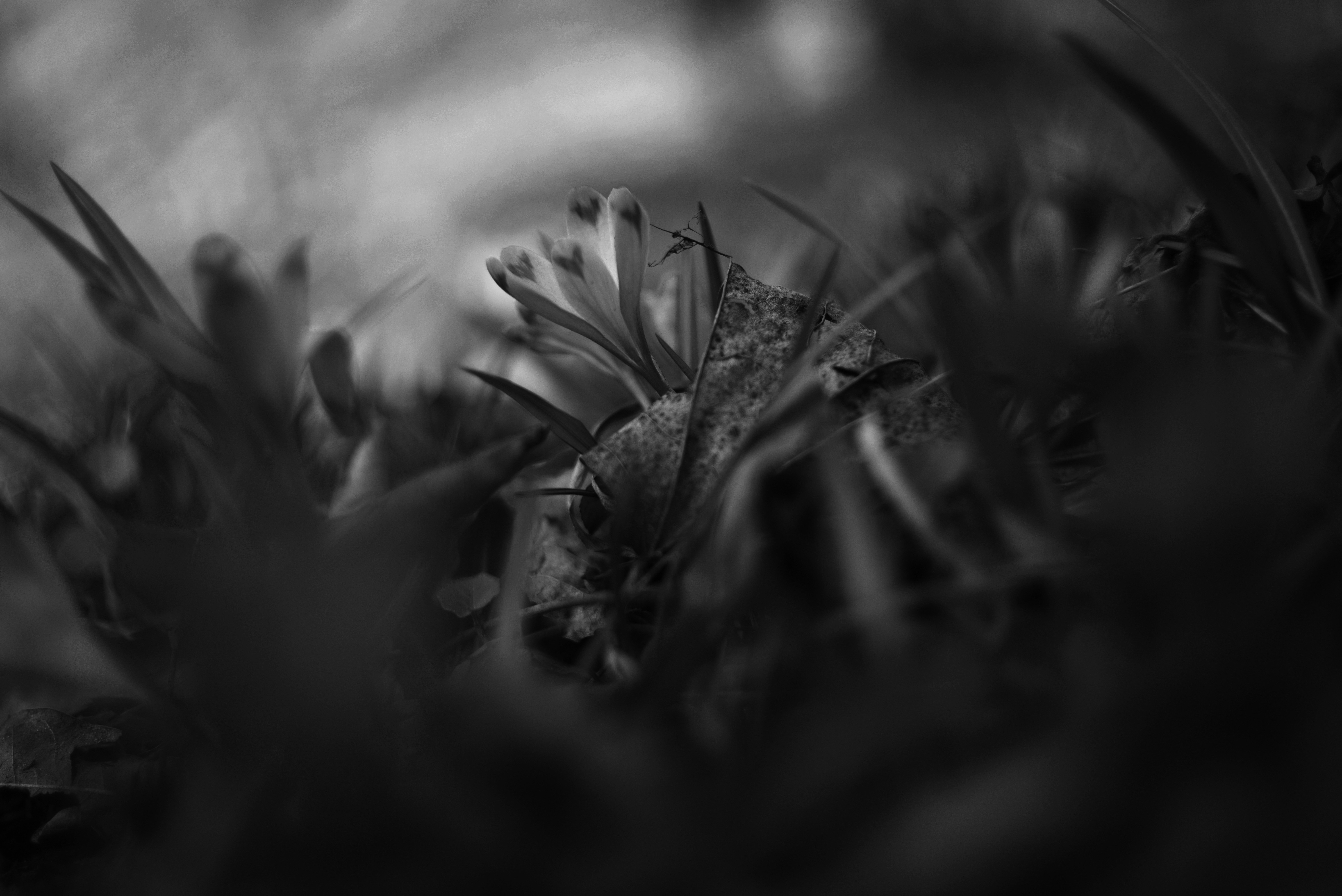 Photo by cherstve_pechivo