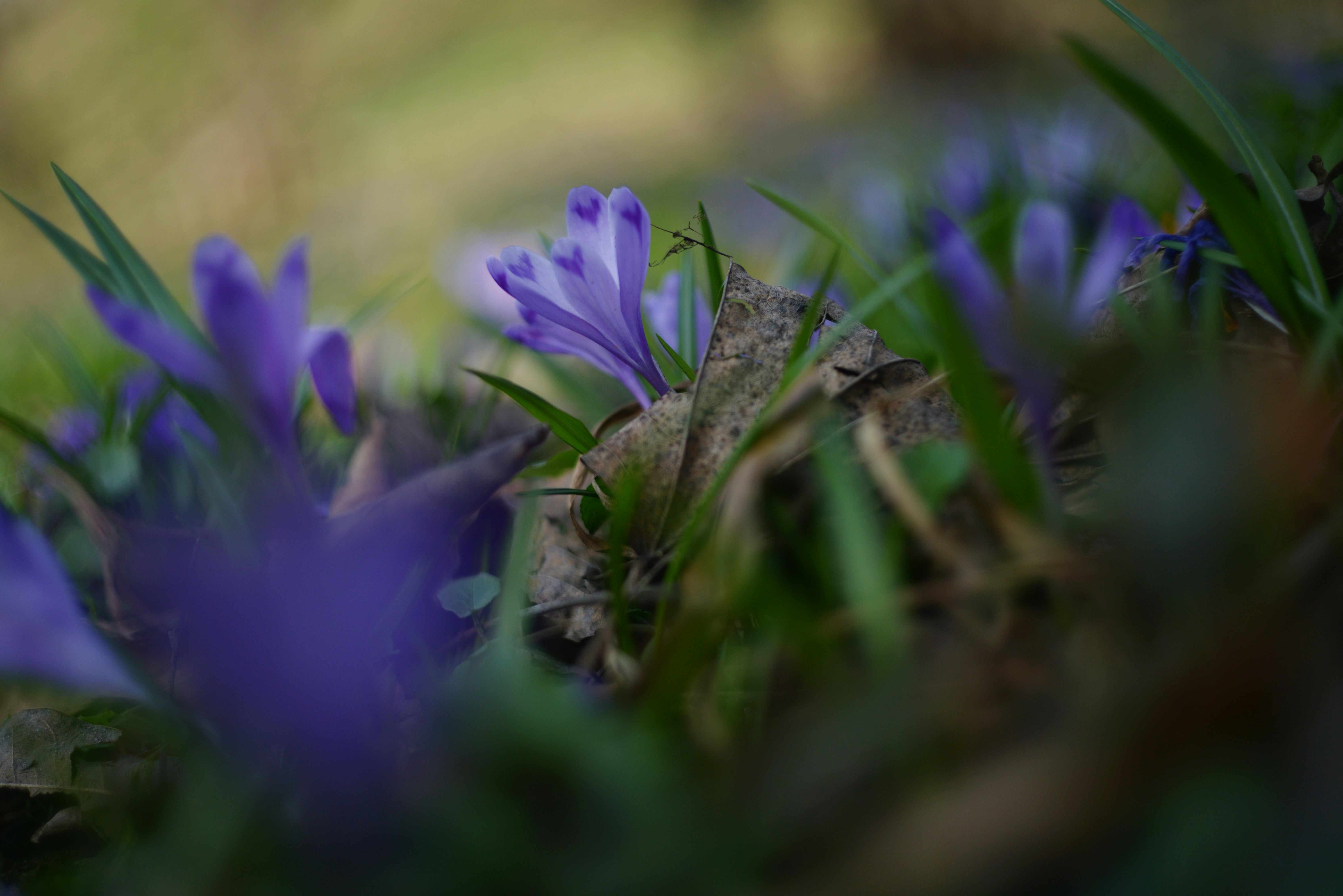 Photo by cherstve_pechivo