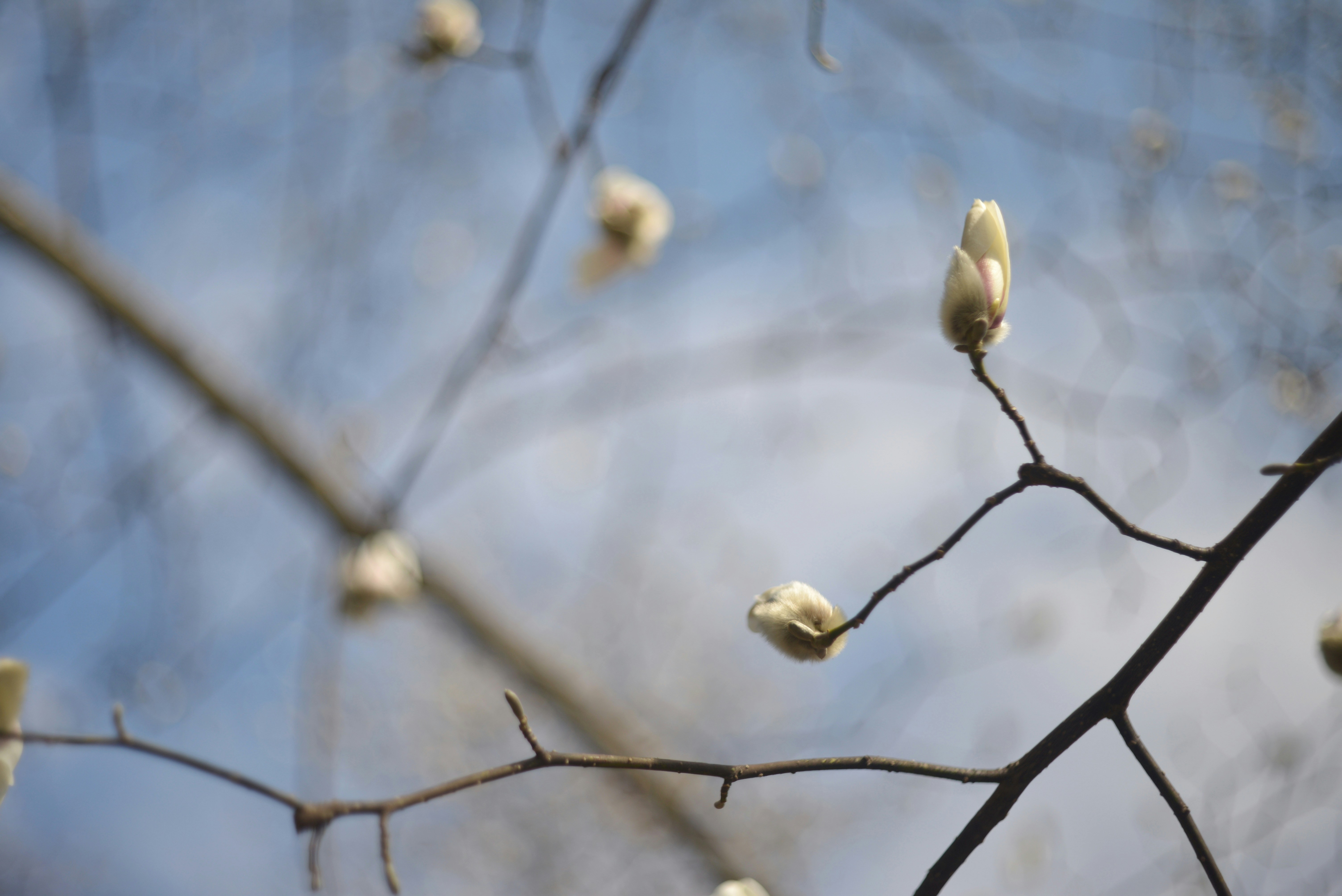 What spring doesn’t tell us about change